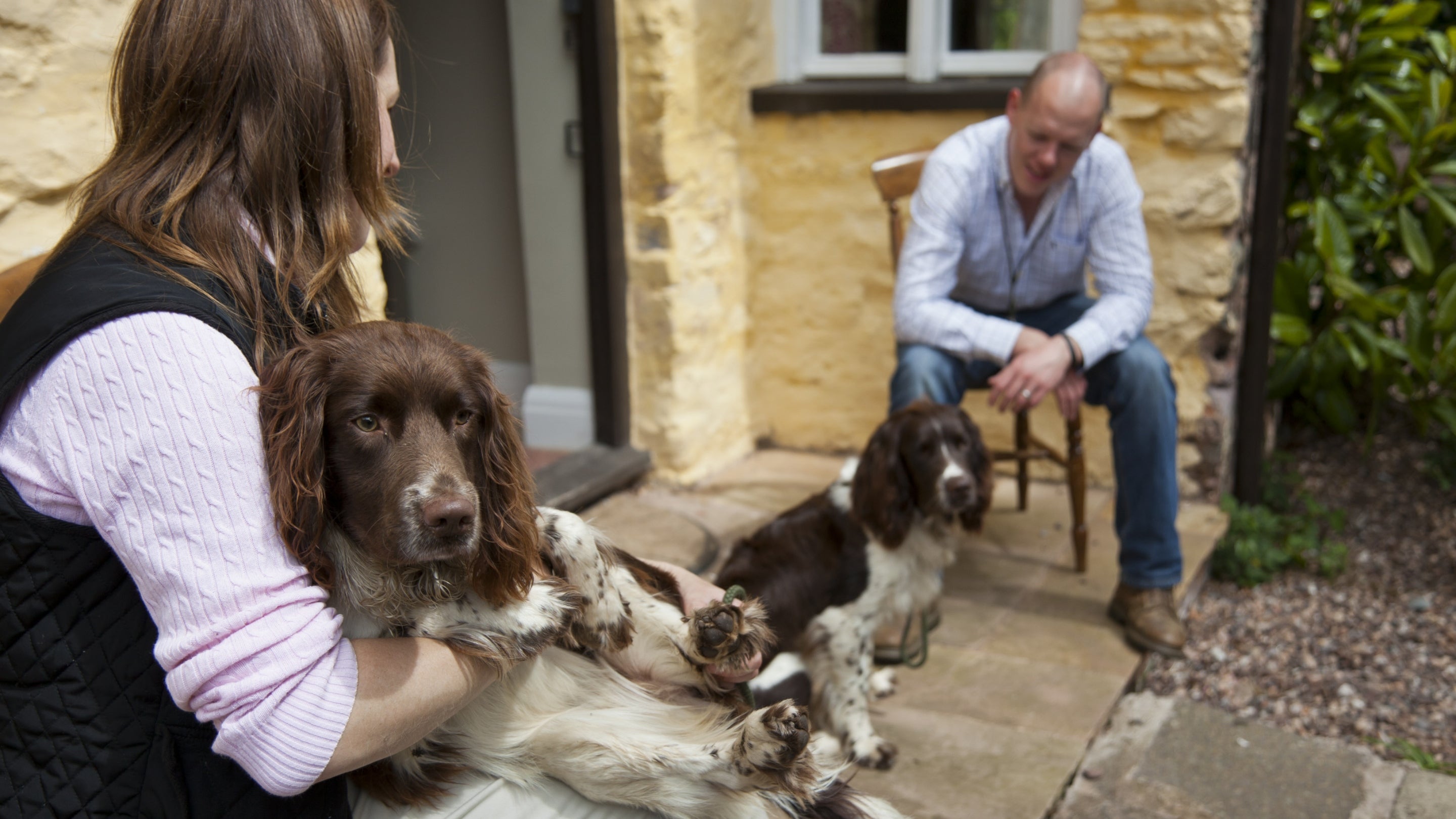 Holidays for dog store owners