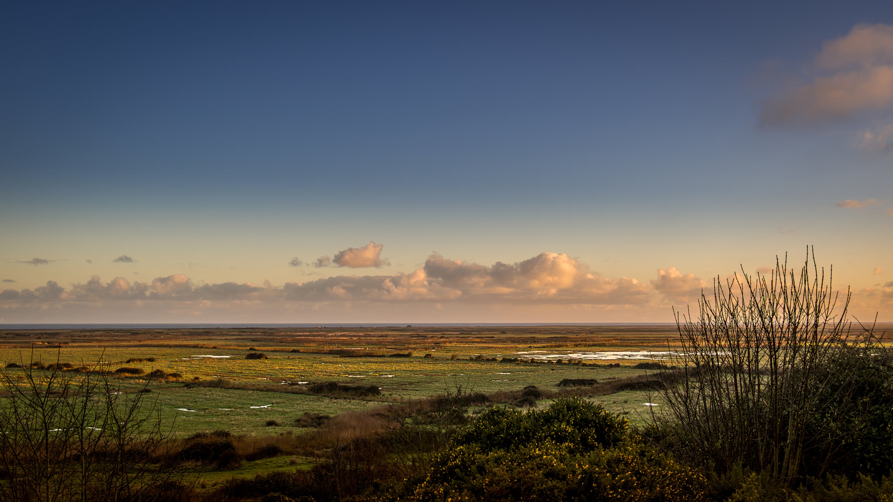 The marsh from Friary Hills, near Blakeney Lodge, Norfolk