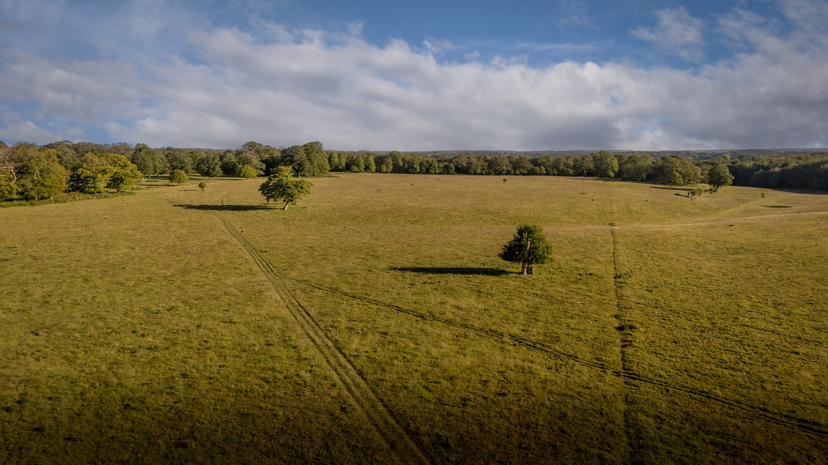 The parkland surrounding Blickling Tower, Norfolk