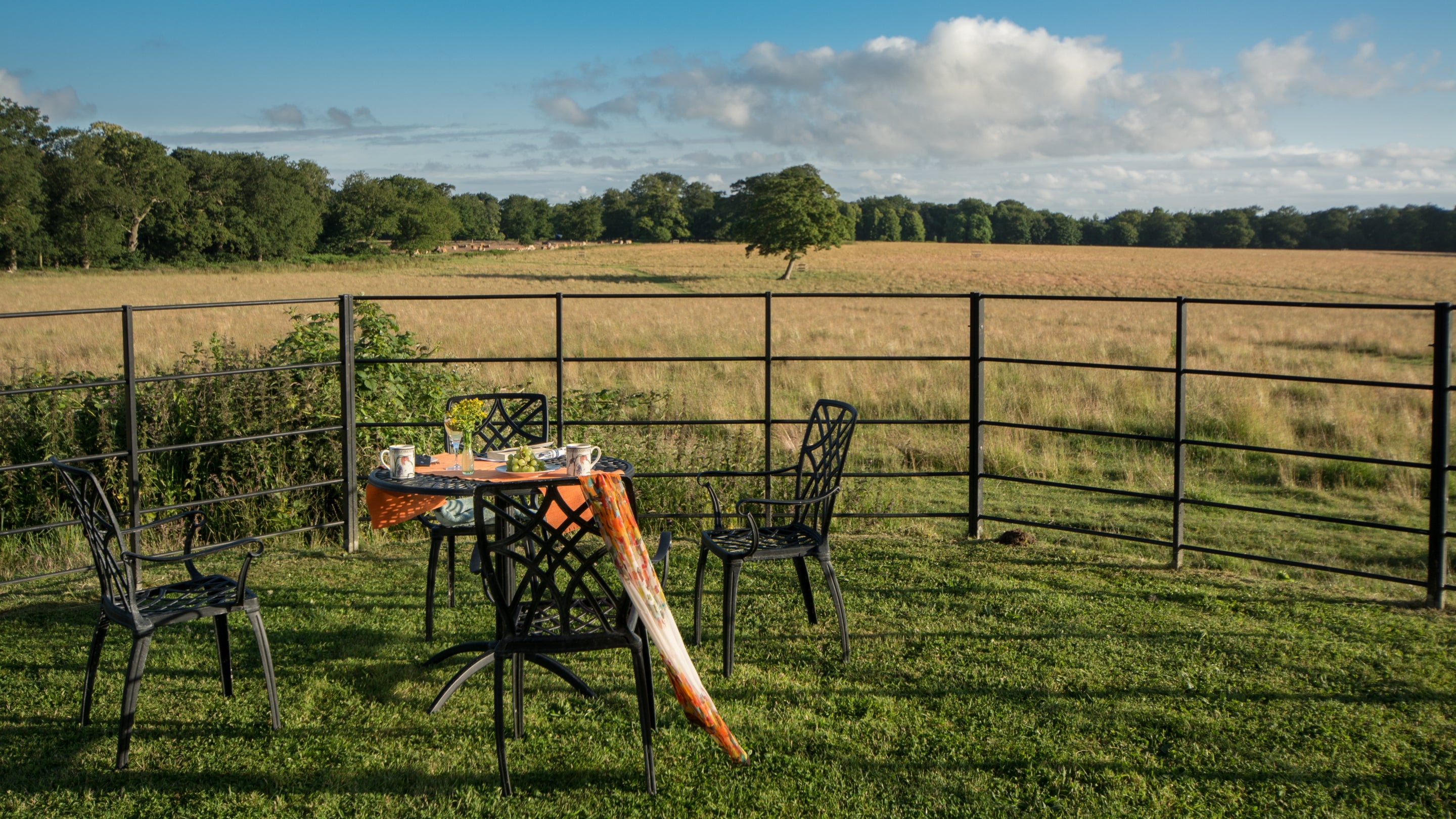 The garden at Blickling Tower, Norfolk