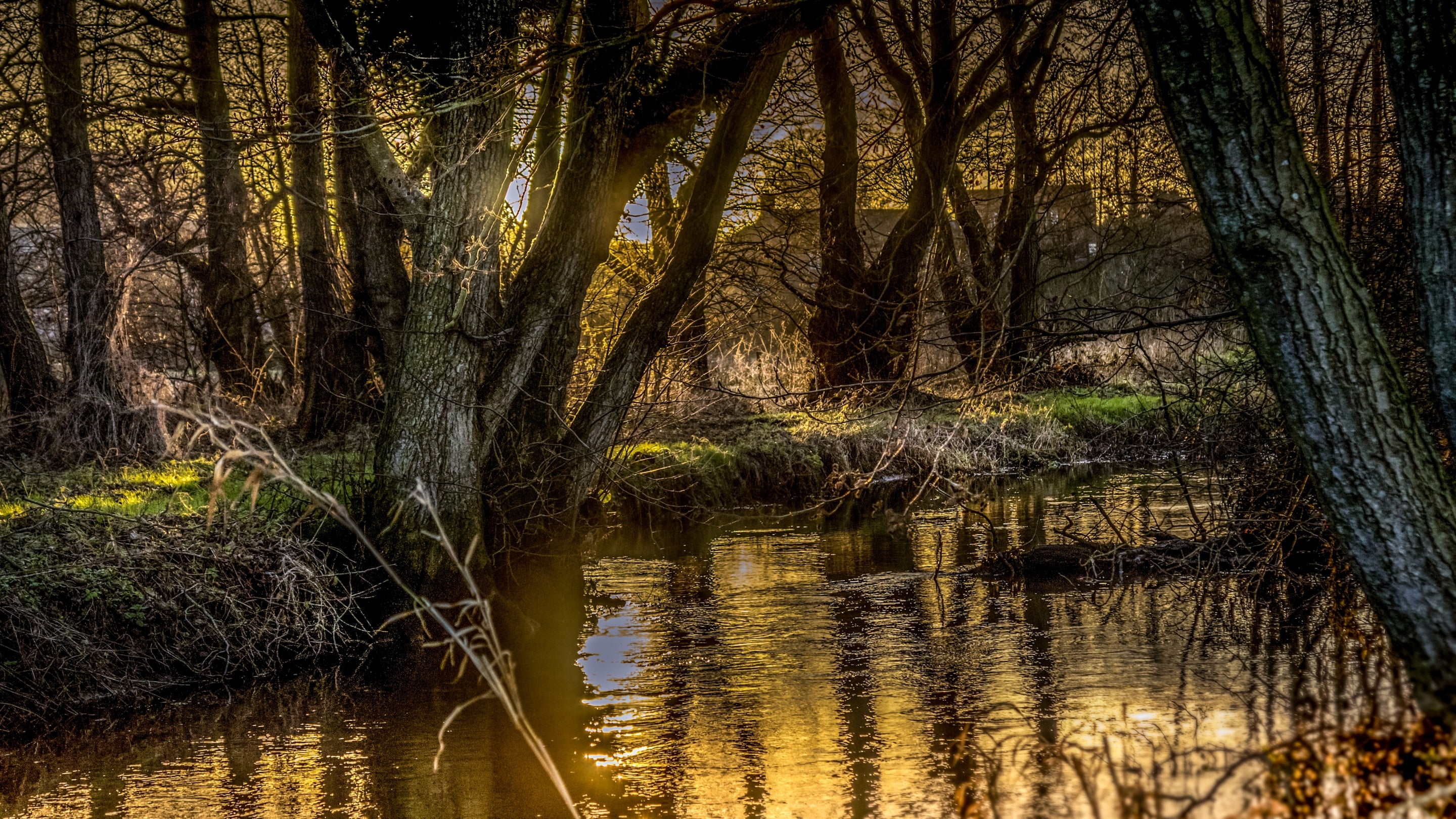 The area surrounding Bureside, Norfolk