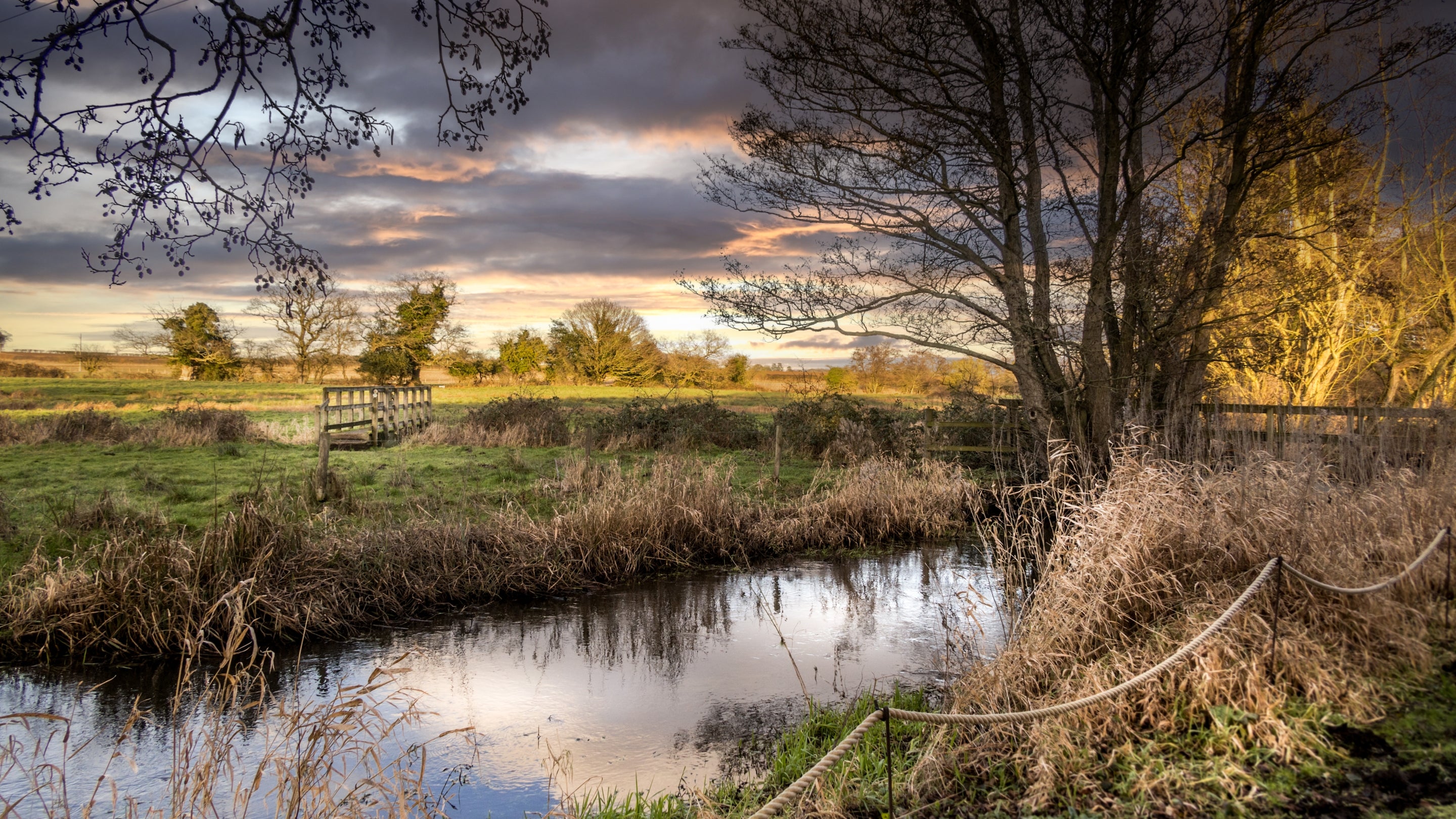 The area surrounding Bureside, Norfolk