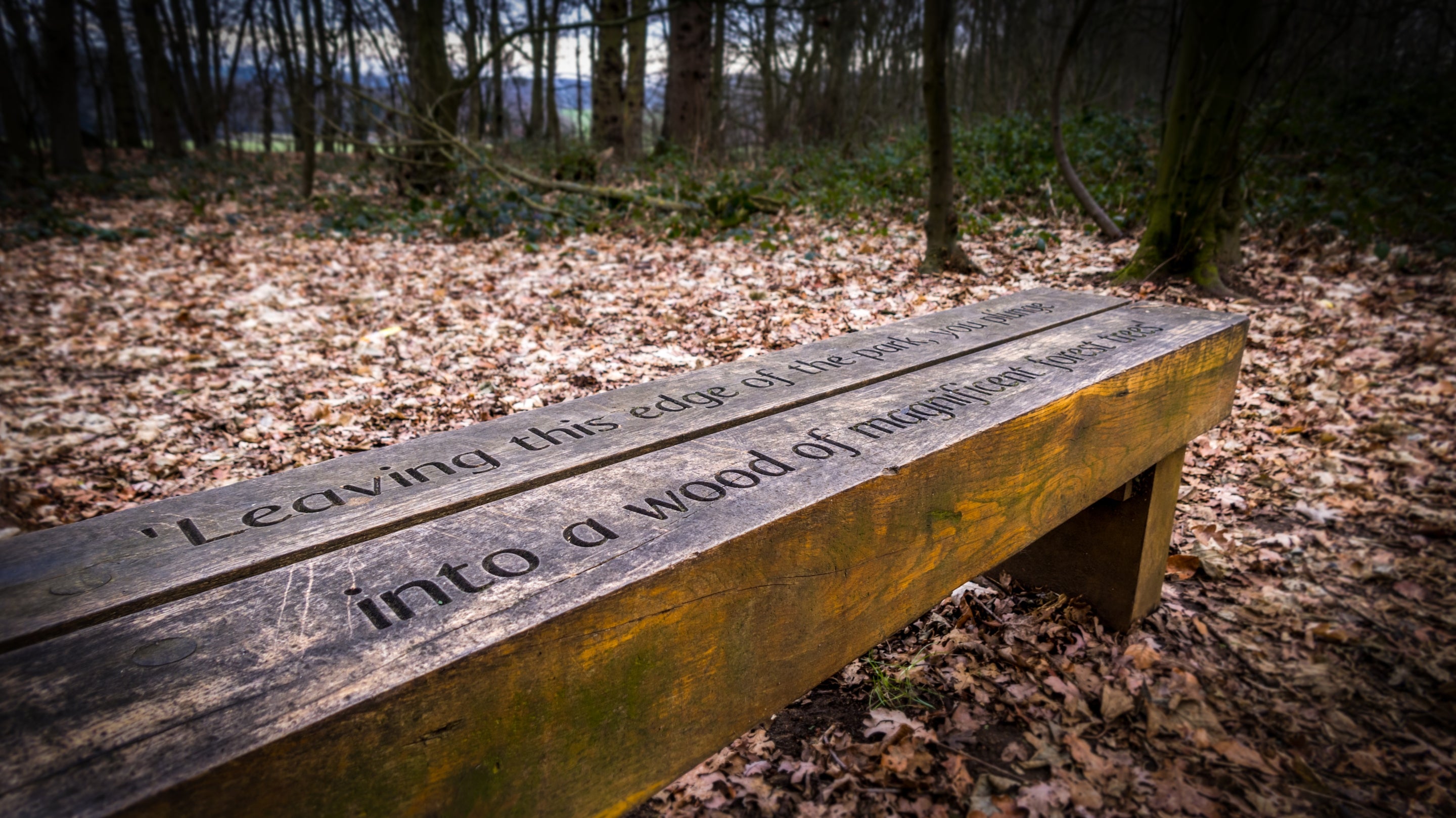 The area surrounding Bureside, Norfolk