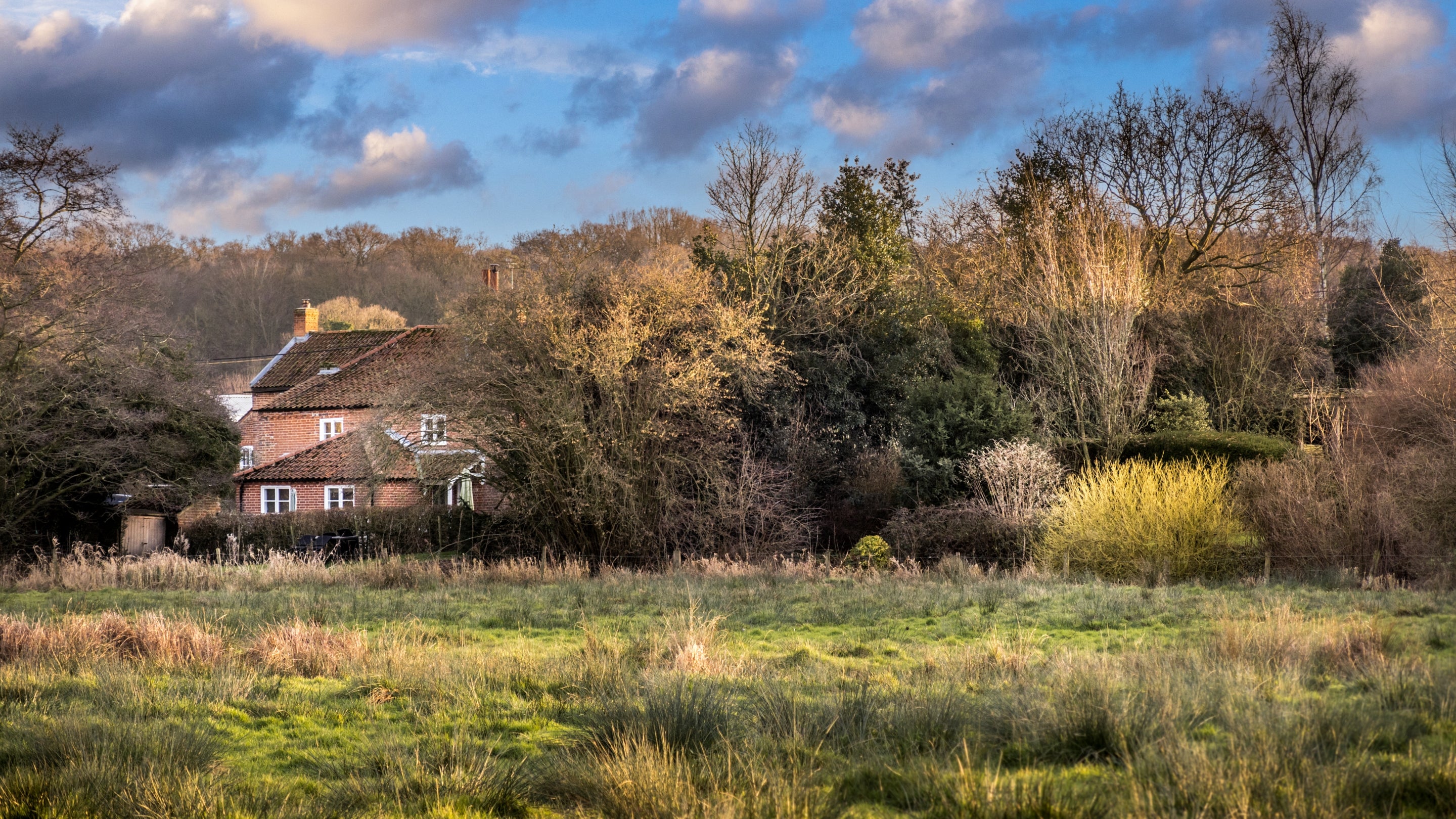 The area surrounding Bureside, Norfolk