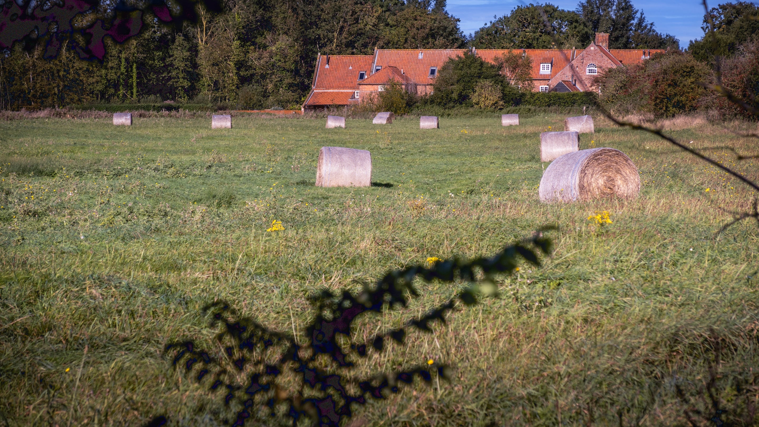 The area surrounding Millstream, Norfolk