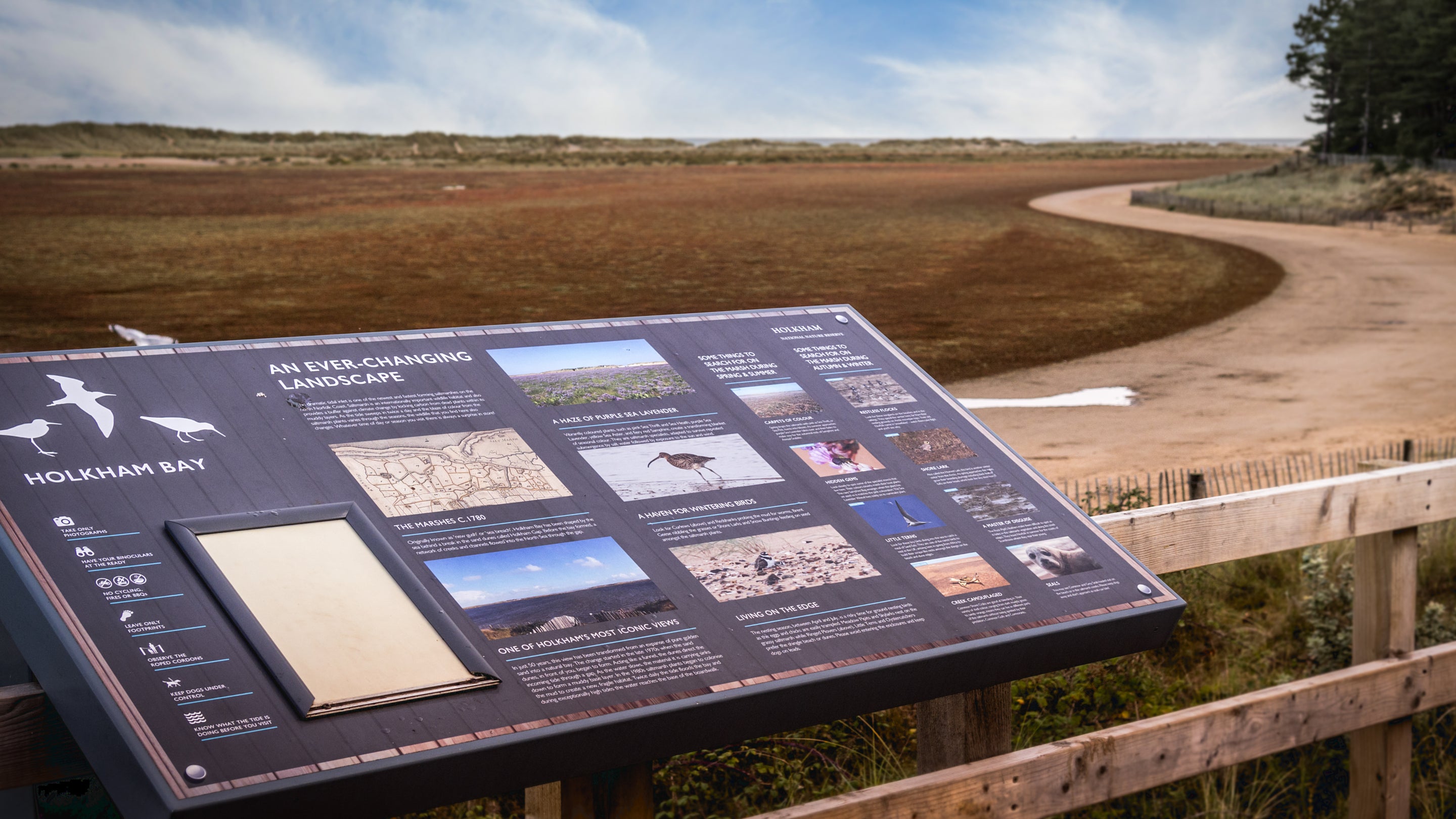 The area surrounding Millstream, Norfolk