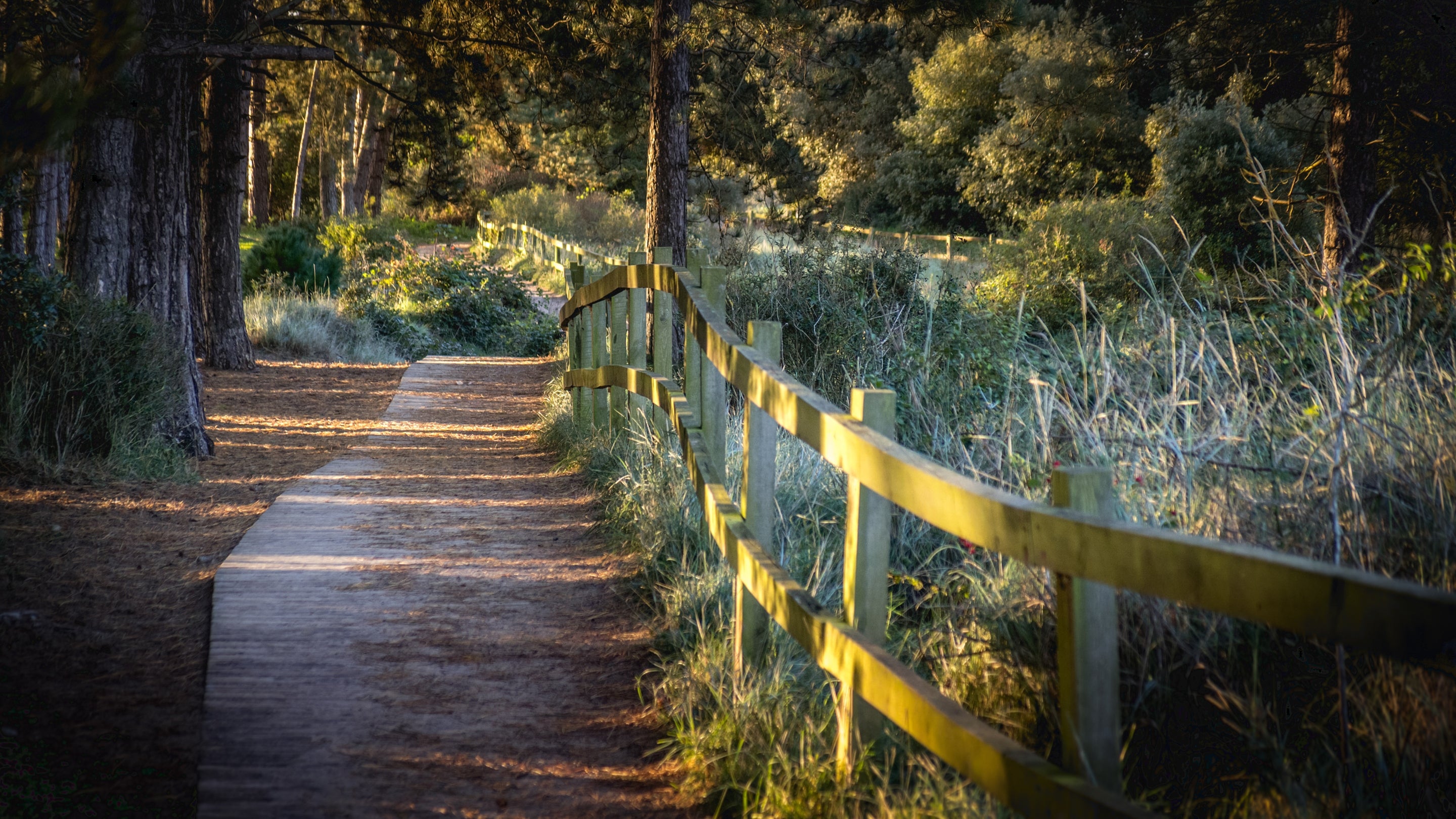 The area surrounding Millstream, Norfolk
