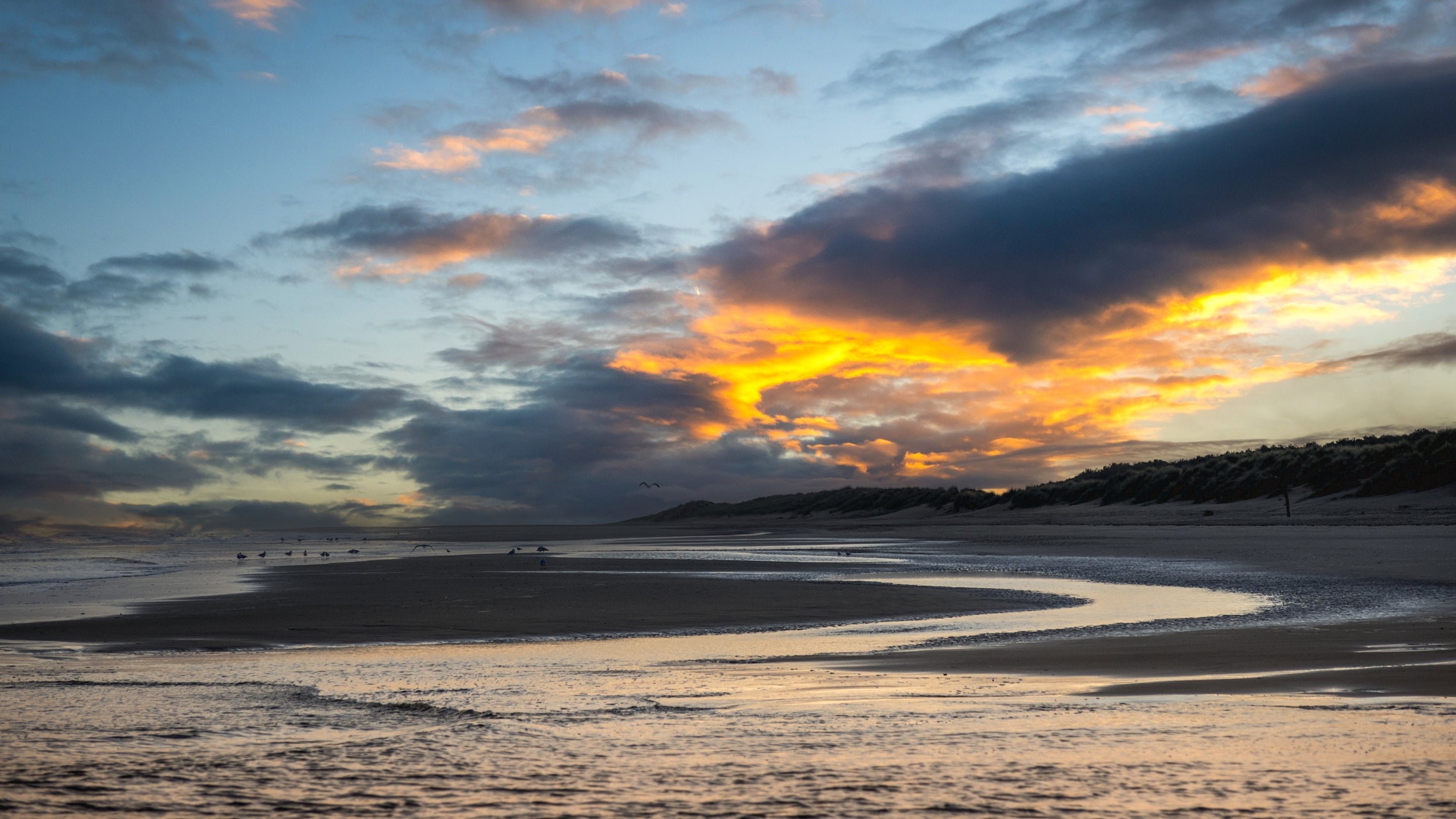 The area surrounding Mrs Preedy's Cottage, Norfolk