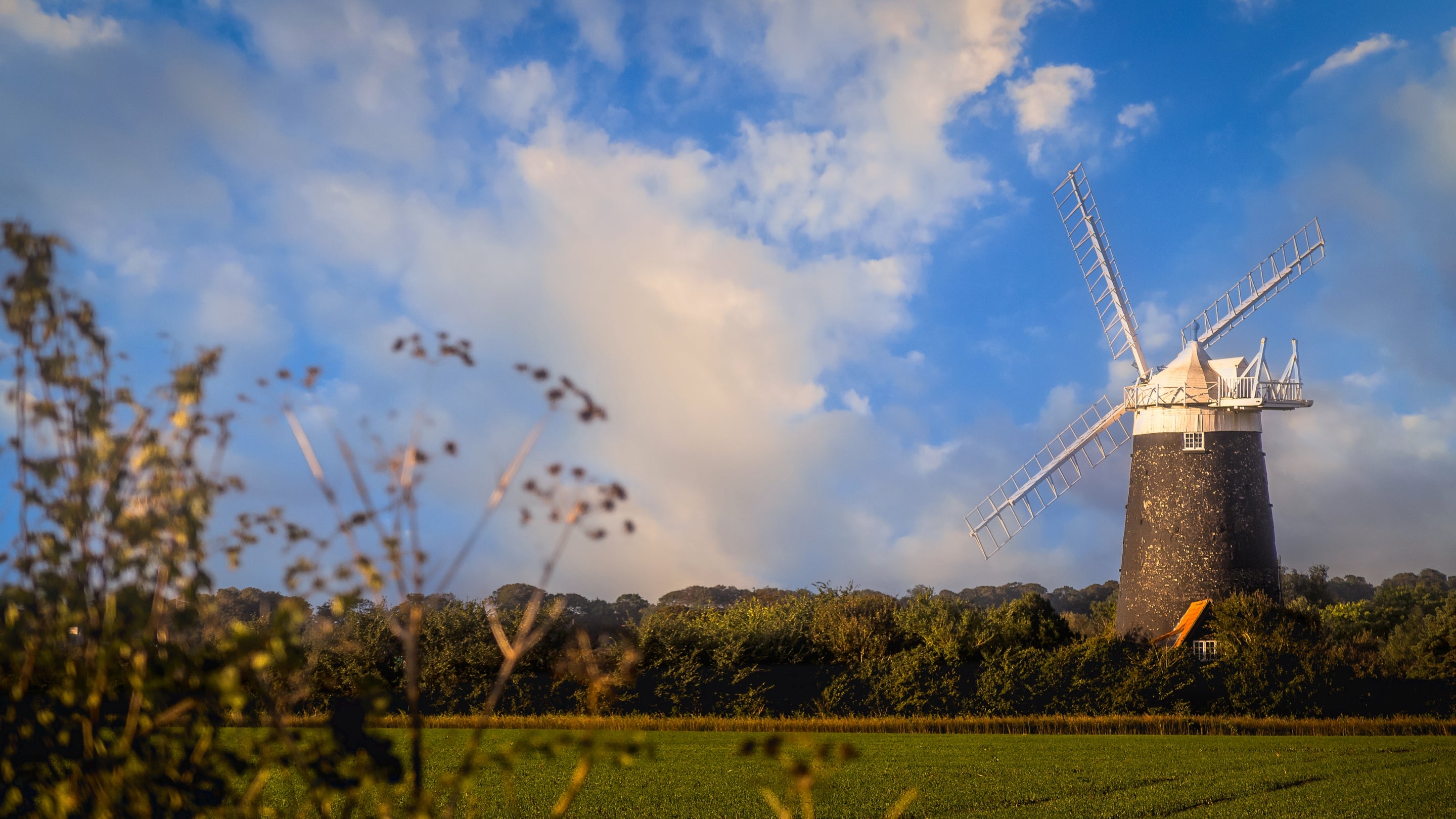 The area surrounding Mrs Preedy's Cottage, Norfolk