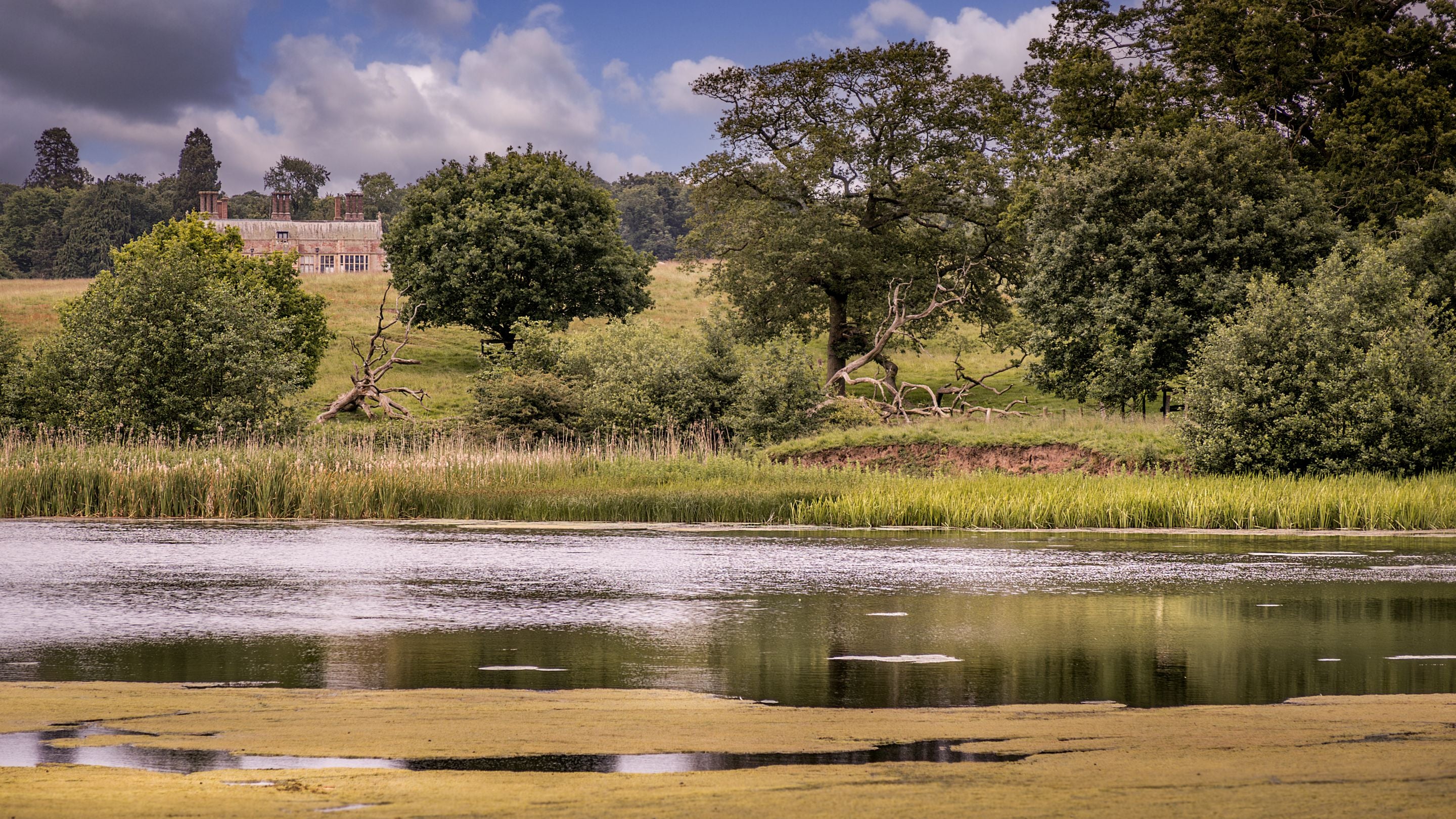 The lake on the Felbrigg Estate, with Felbrigg Hall in the background, Norfolk