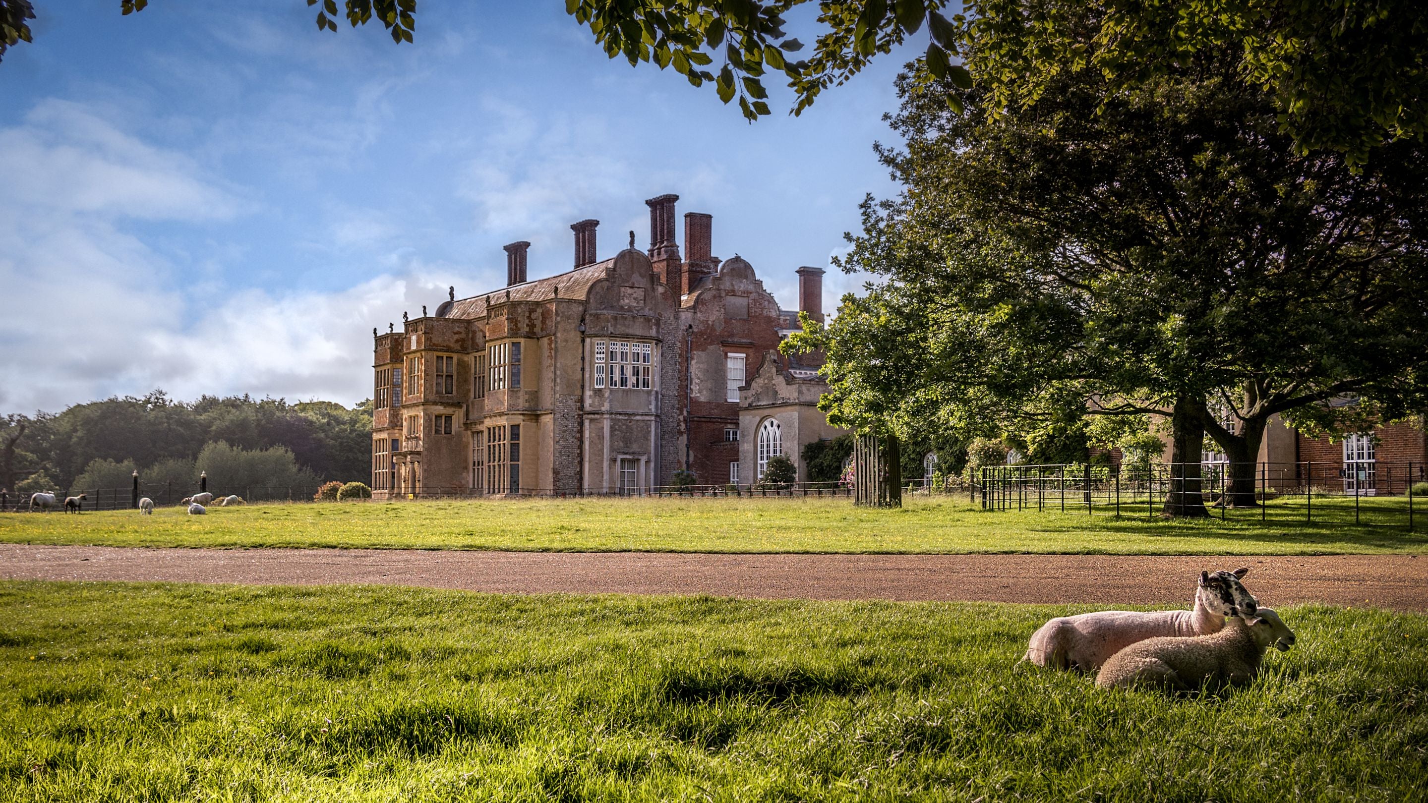 Felbrigg Hall, with sheep in the foreground, Norfolk