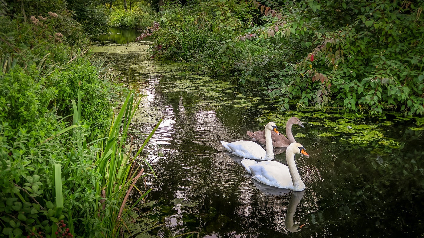 The surrounding area near Oxburgh Chapel Lodge, Norfolk