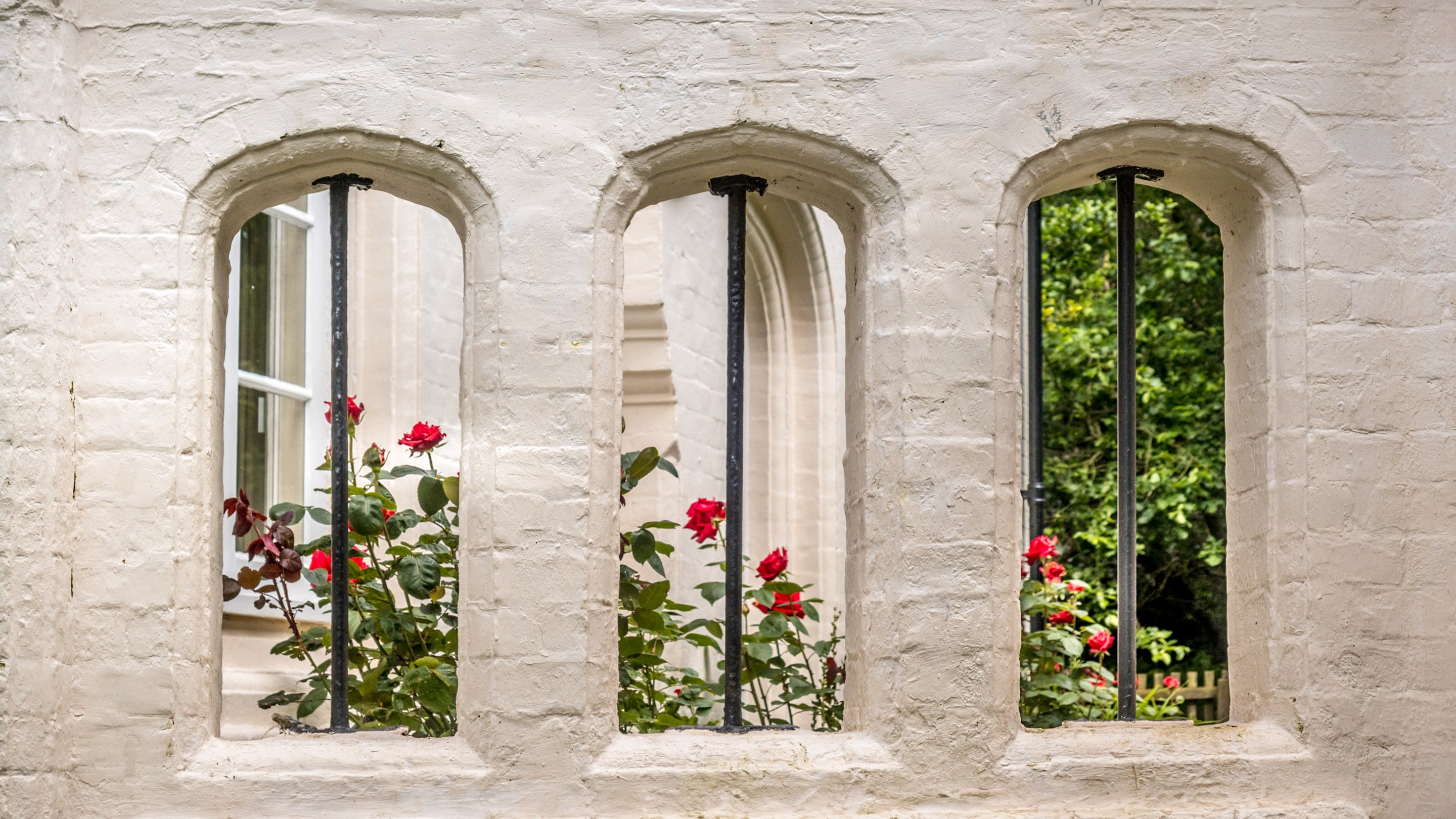 Roses through the arches in the garden wall of Sexton's Lodge, Norfolk