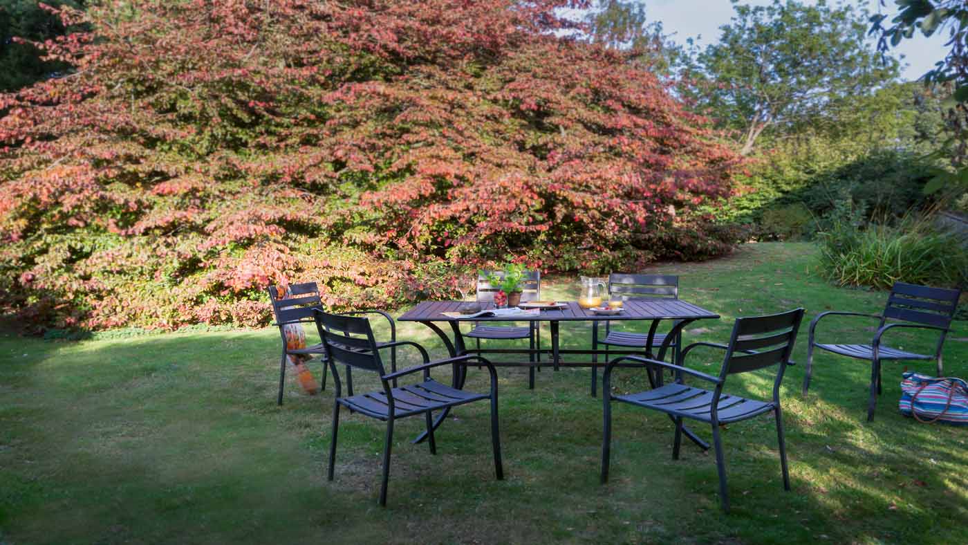 The large garden at The Squire's Retreat, Cromer, Norfolk