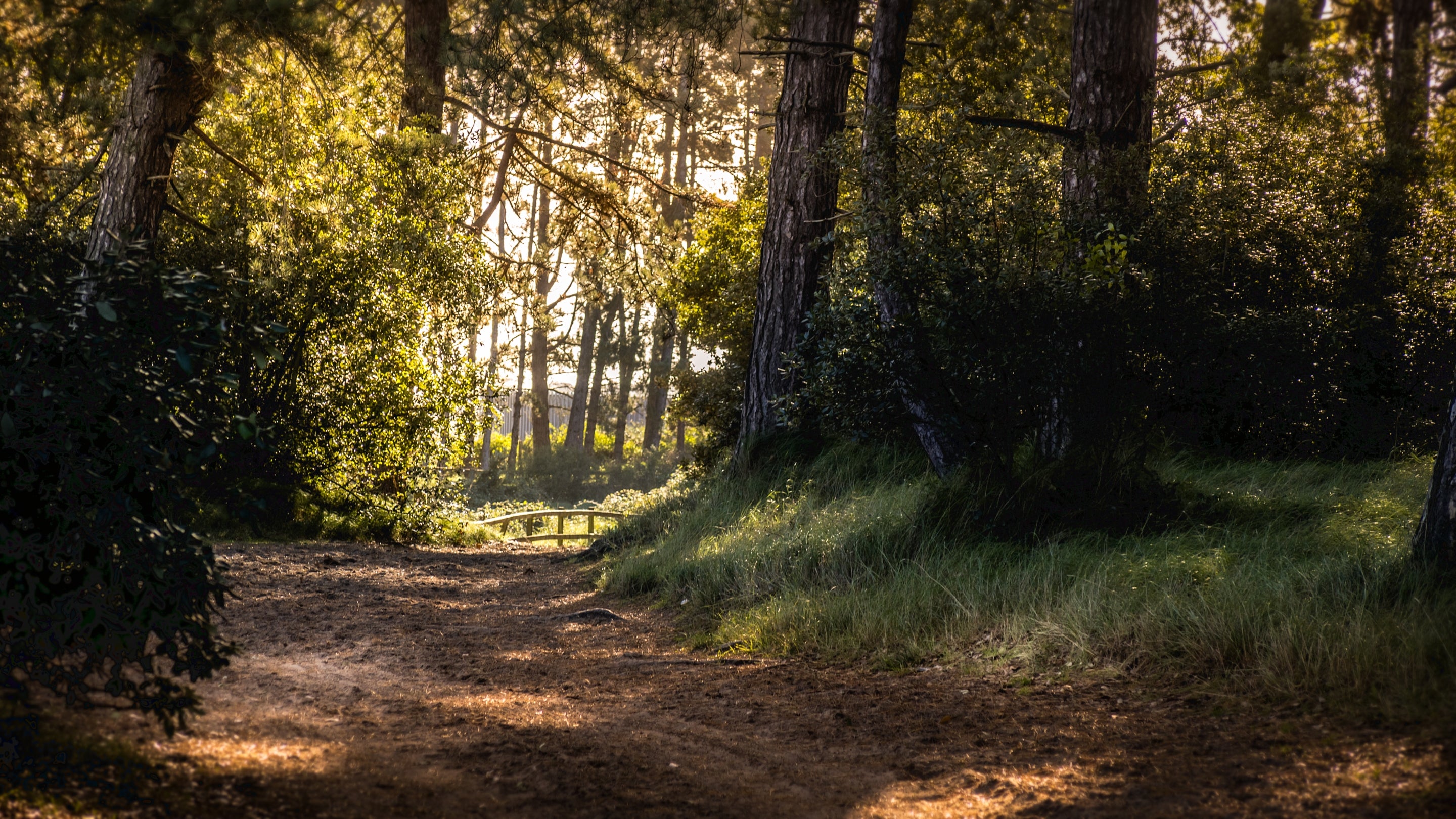 The surrounding area at Watermill Apartment, Norfolk