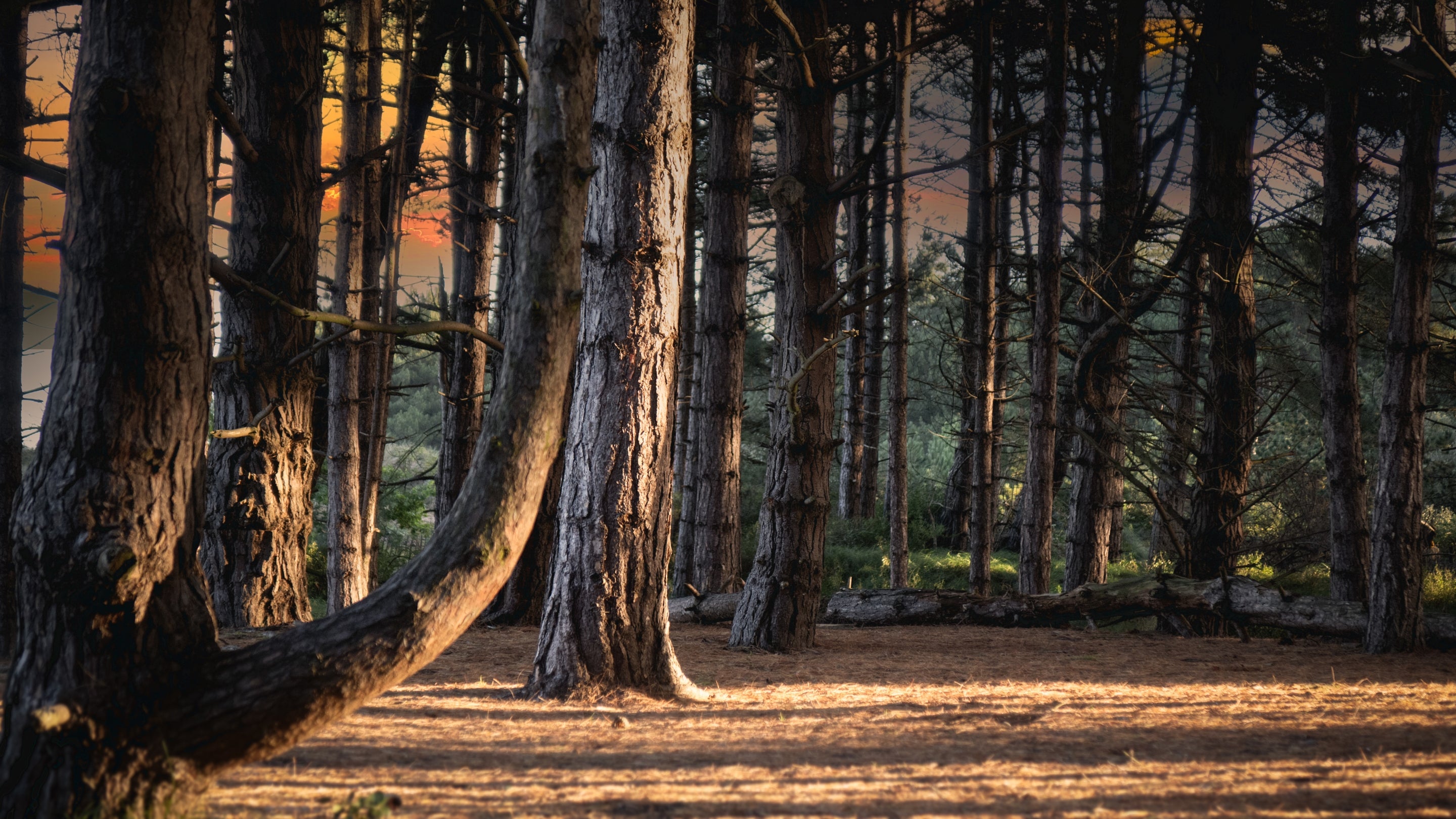 The surrounding area at Watermill Apartment, Norfolk