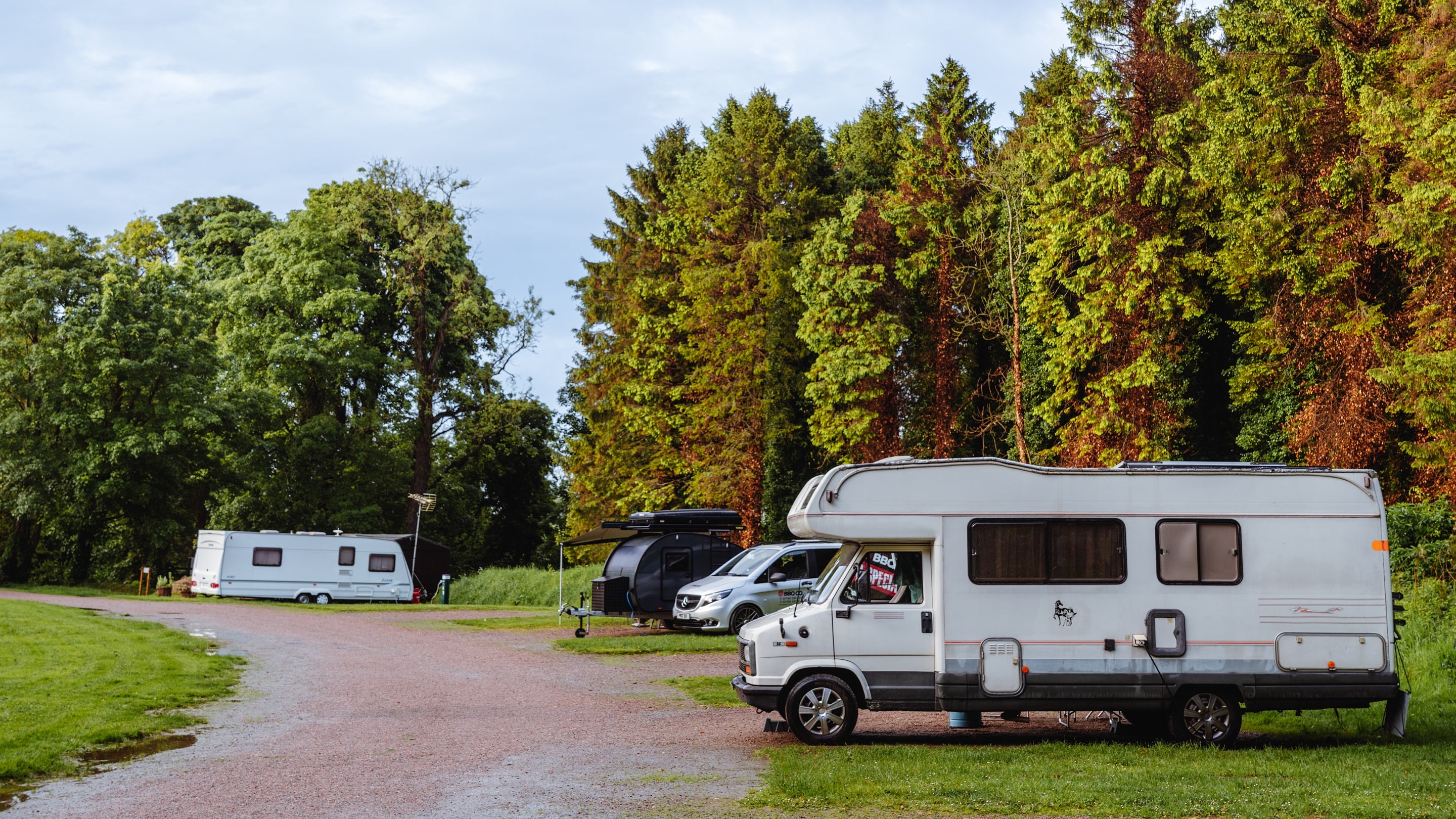 Campervans at Castle Ward Campsite, Northern Ireland