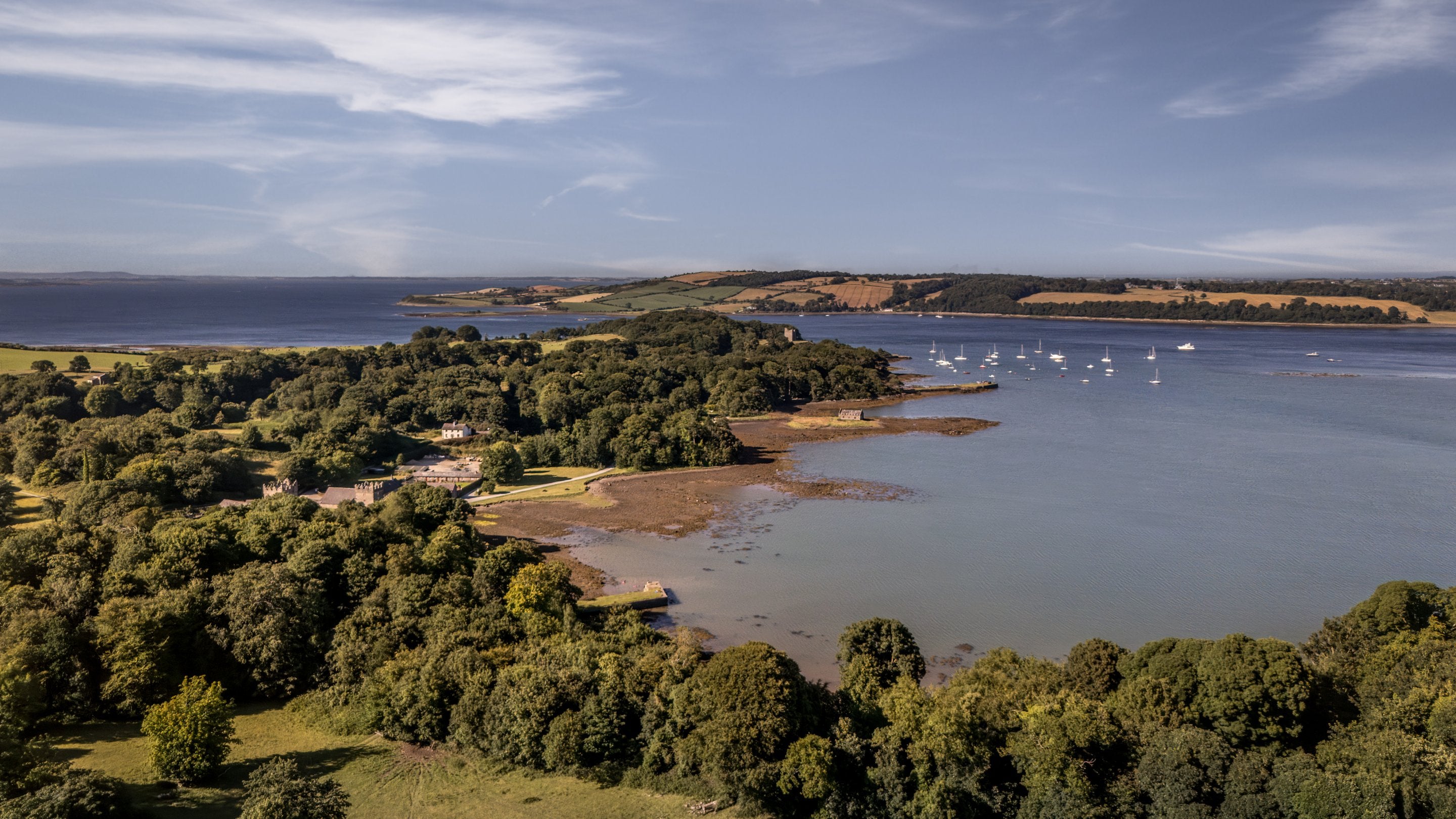 An aerial view of the shore of Strangford Lough at Castle Ward, County Down