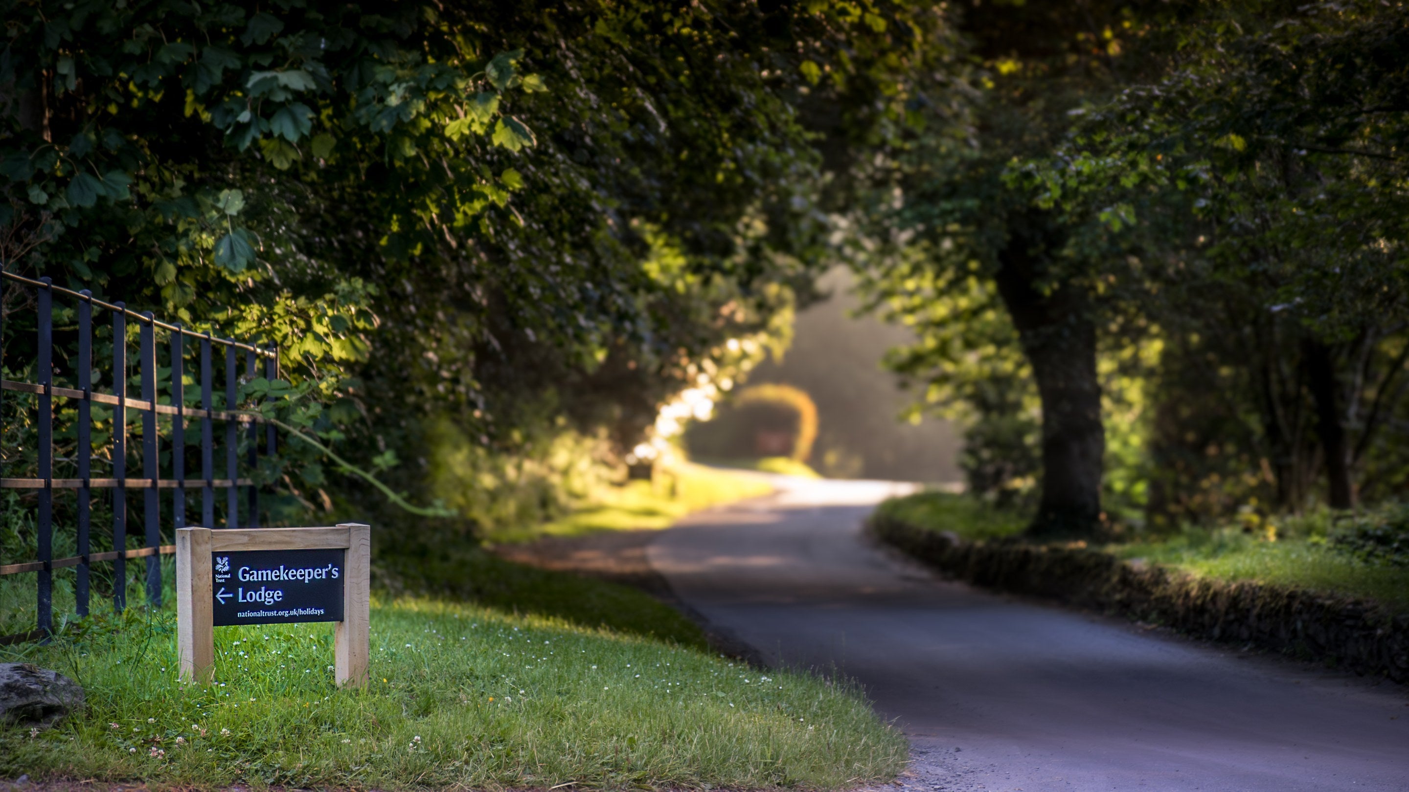 Part of the route to Castle Ward Gamekeeper's Lodge, with a sign to the cottage and a lane through trees on the Castle Ward estate, County Down