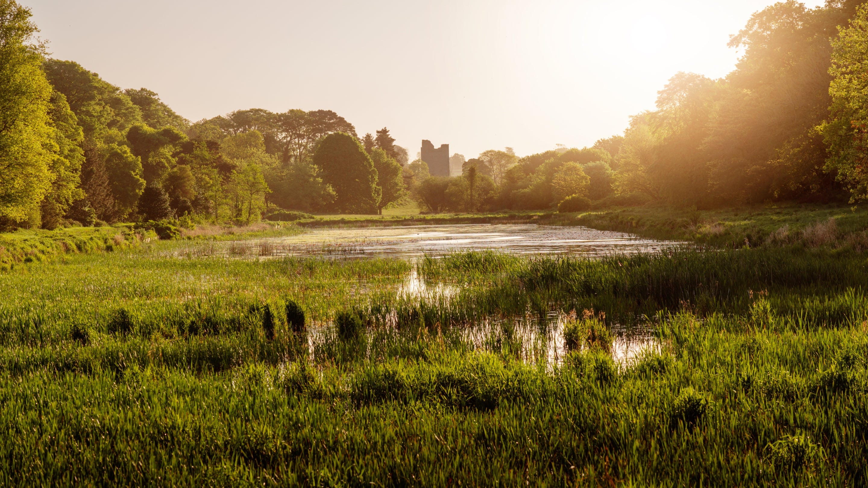 The area surrounding Downpatrick Gate Lodge, County Down