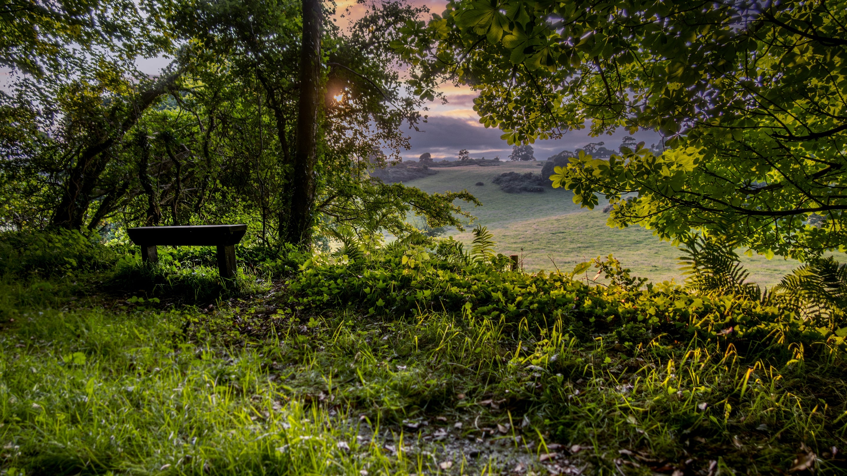 The area surrounding Downpatrick Gate Lodge, County Down
