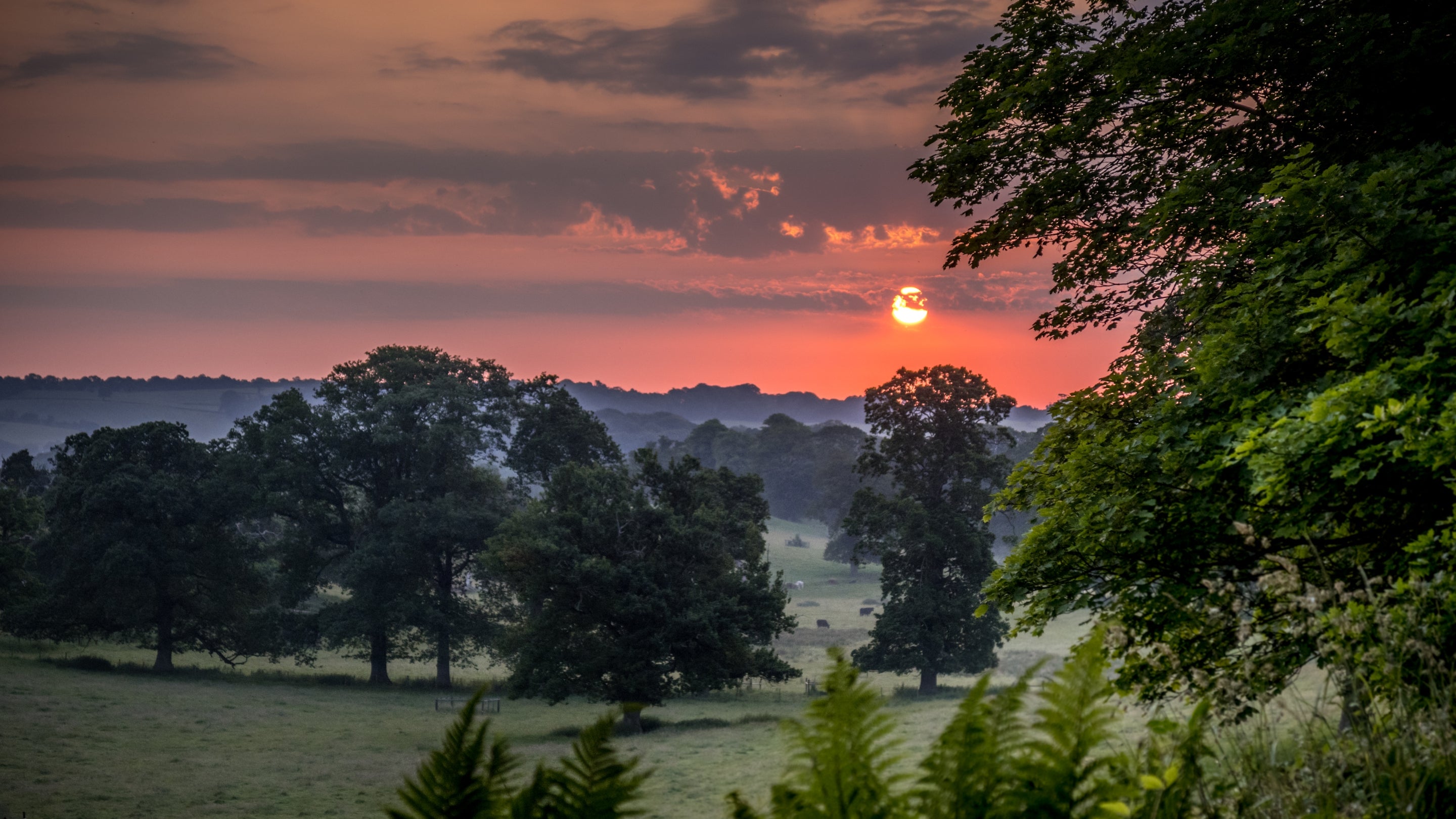 The area surrounding Downpatrick Gate Lodge, County Down