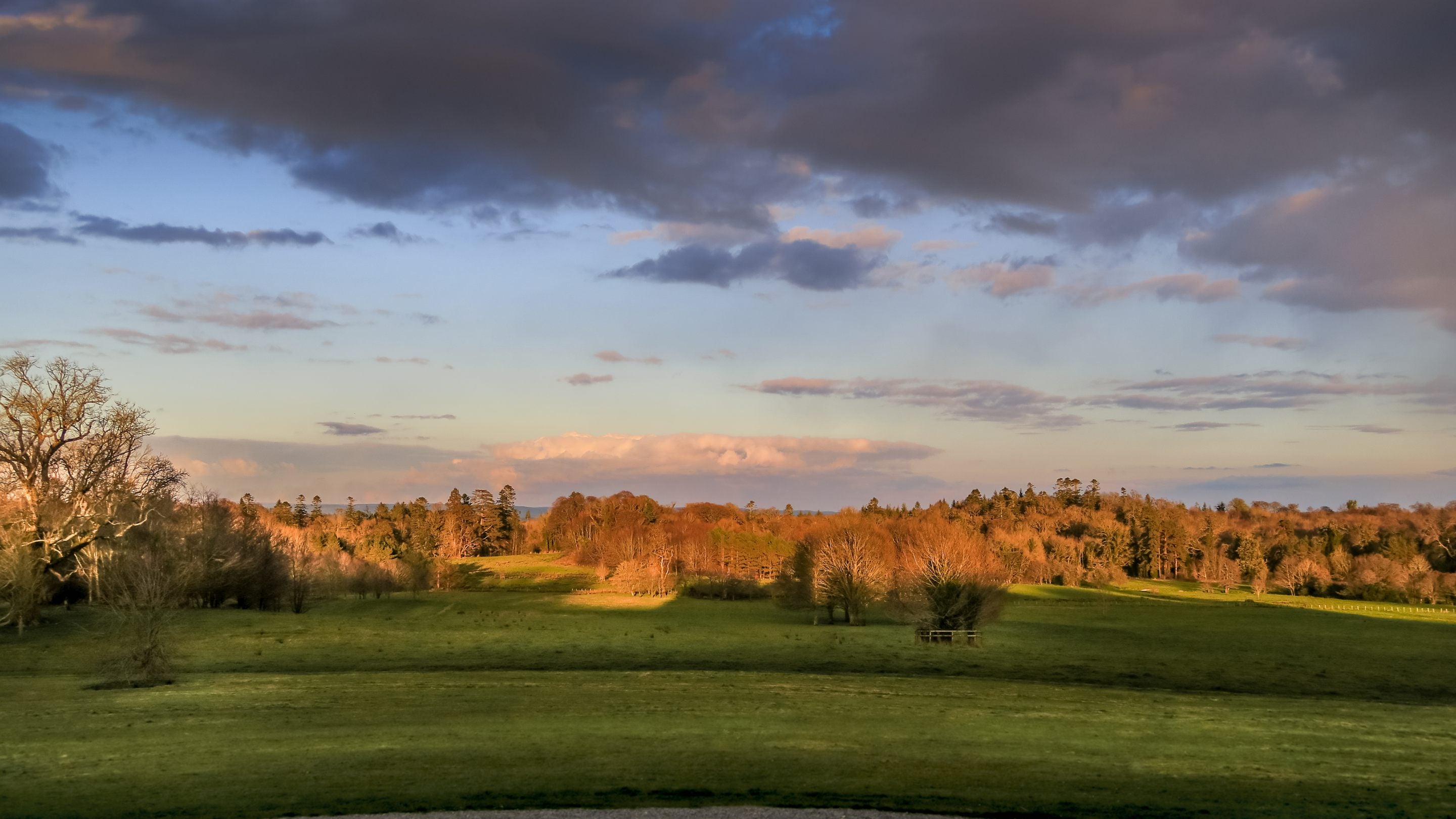 The parkland at Florence Court, County Fermanagh
