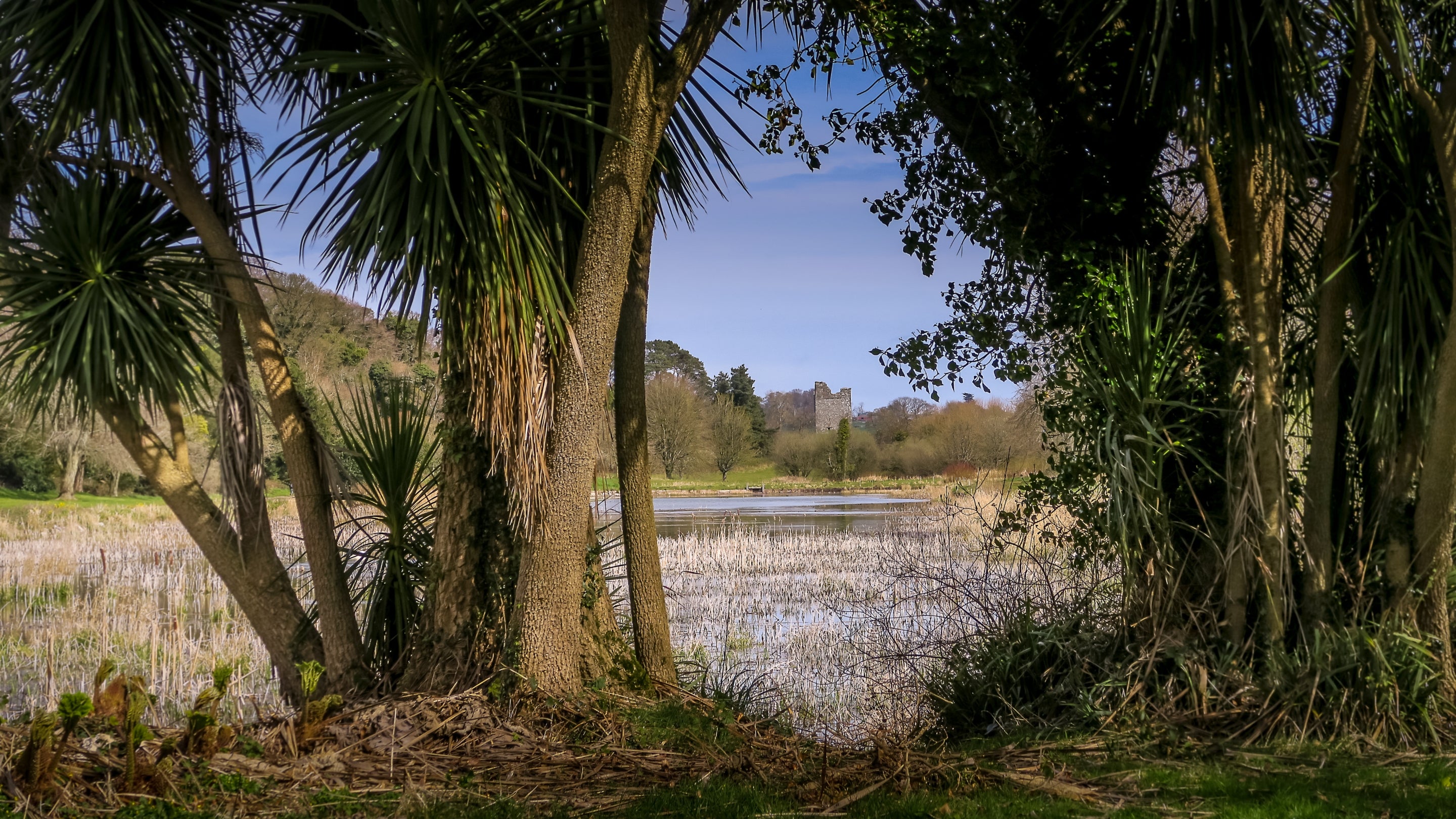 The area surrounding The Potter's Cottage, County Down