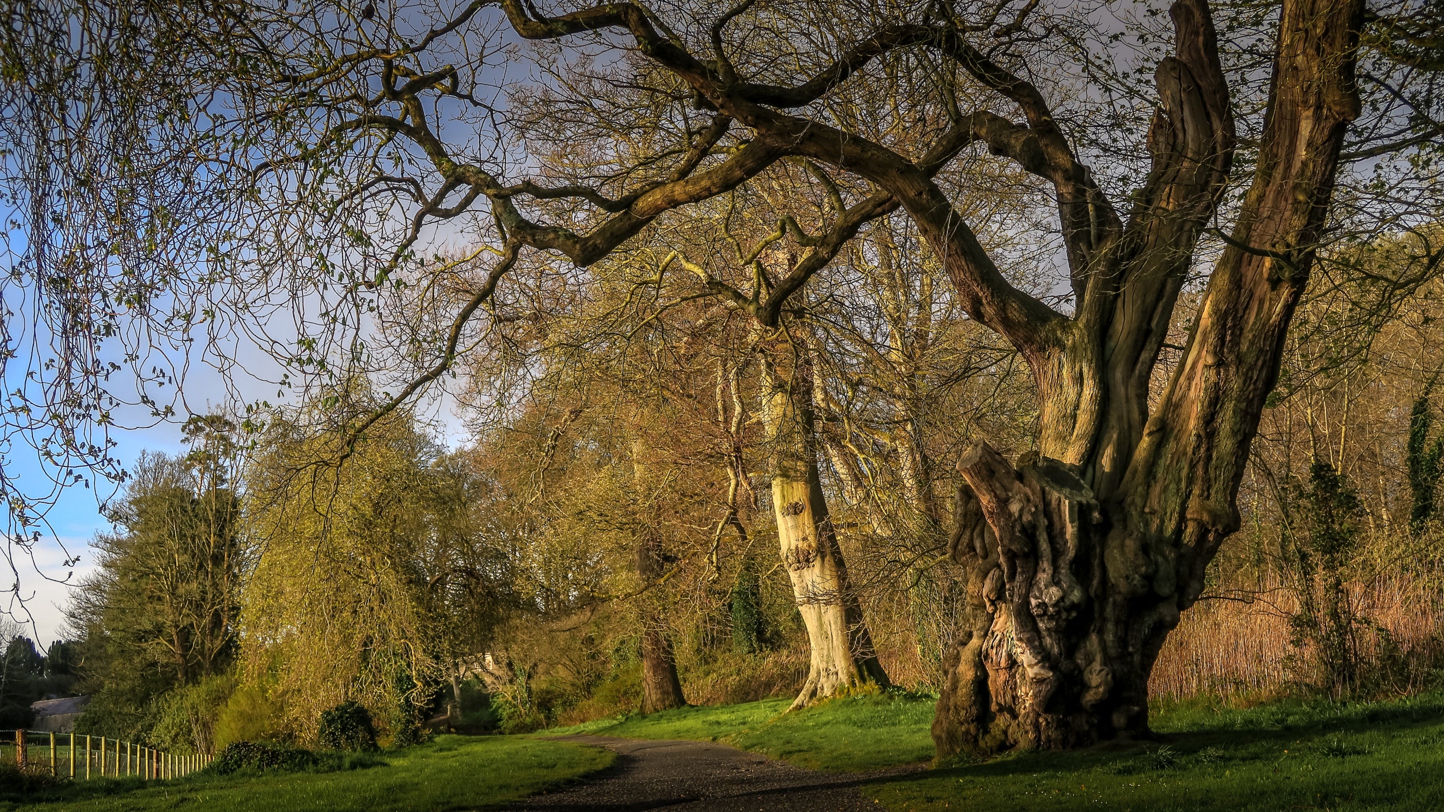 The area surrounding The Potter's Cottage, County Down