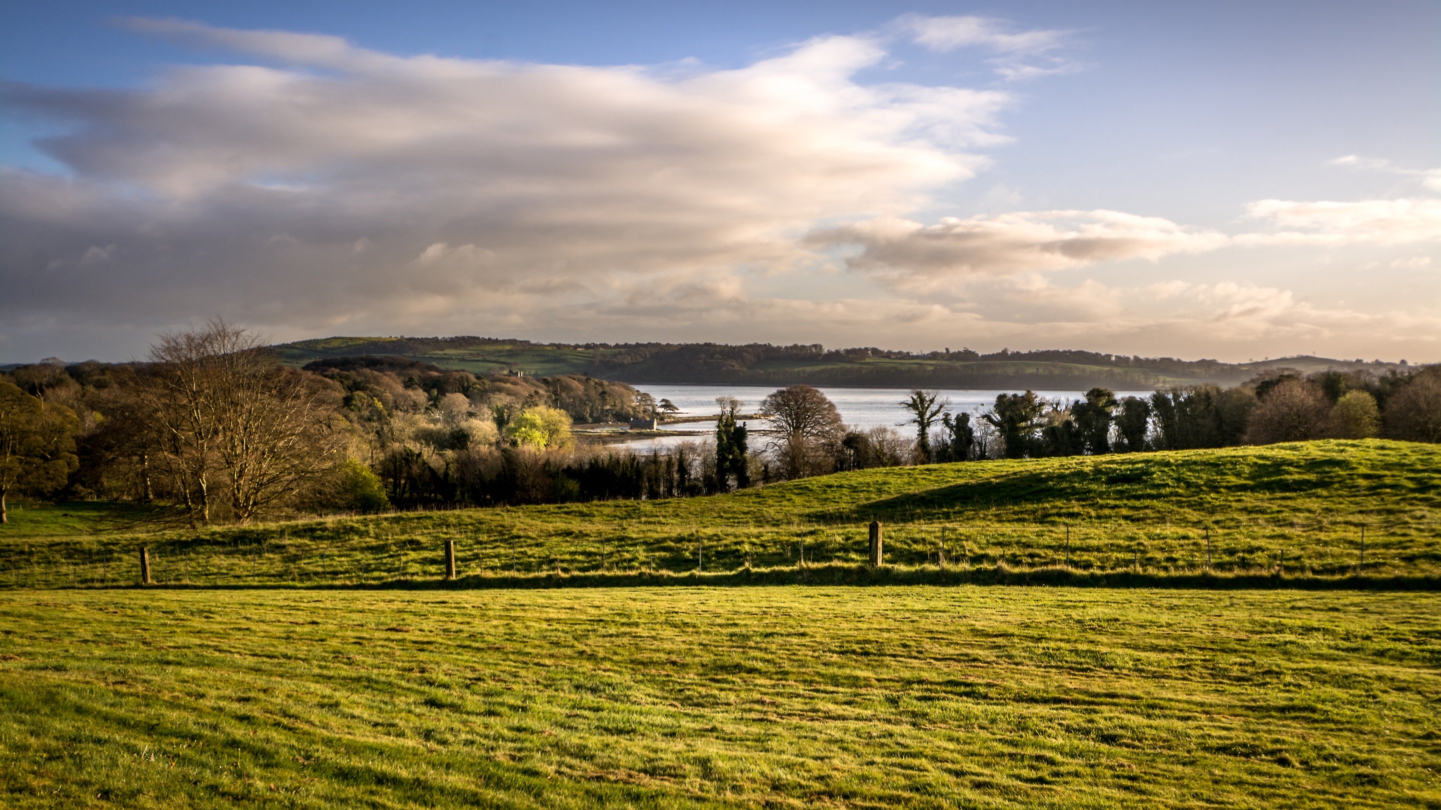 The area surrounding The Potter's Cottage, County Down