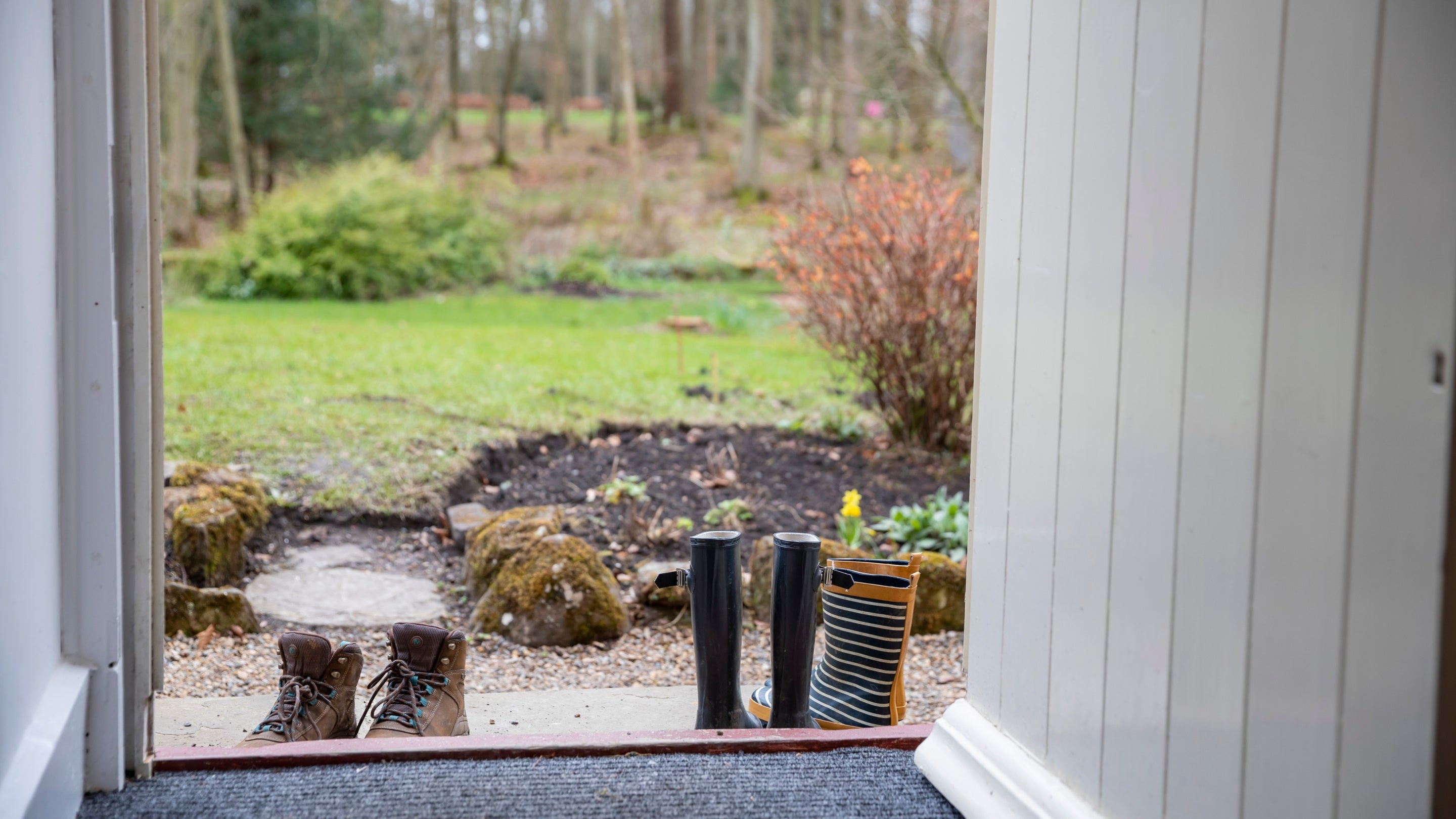 The view from the door at Bolt Cottage, Northumberland