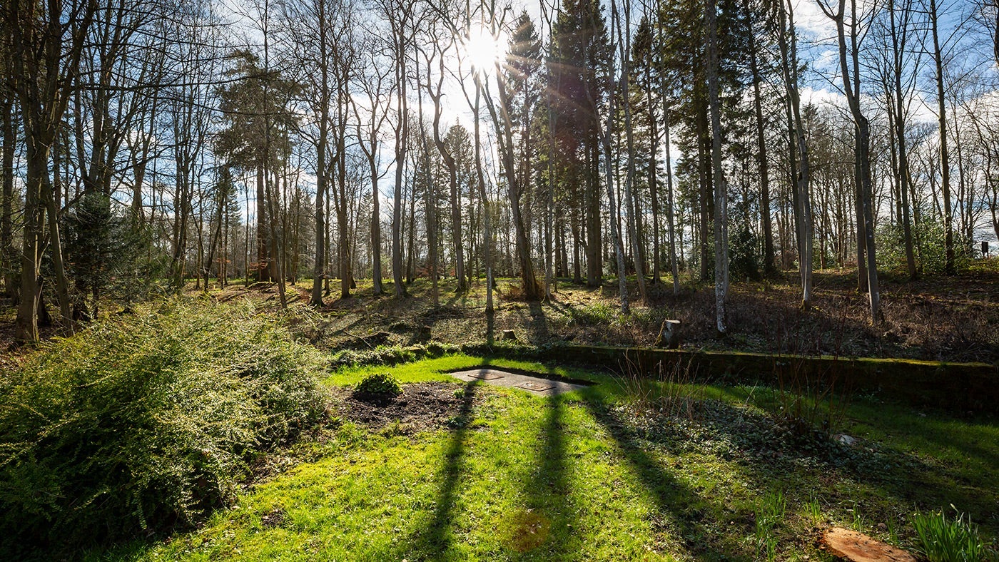 The garden at Bolt Cottage, Wallington 