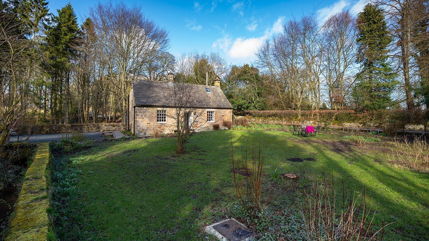 The garden at Bolt Cottage, Wallington 