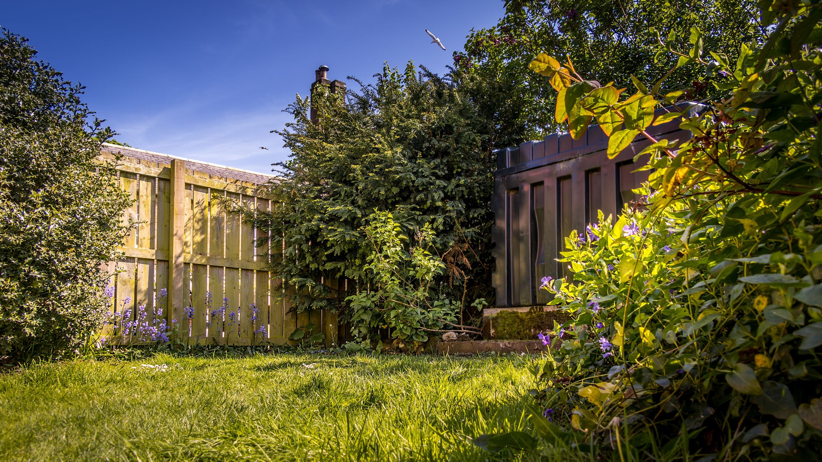 The small lawned garden at the rear of Glen House, Northumberland