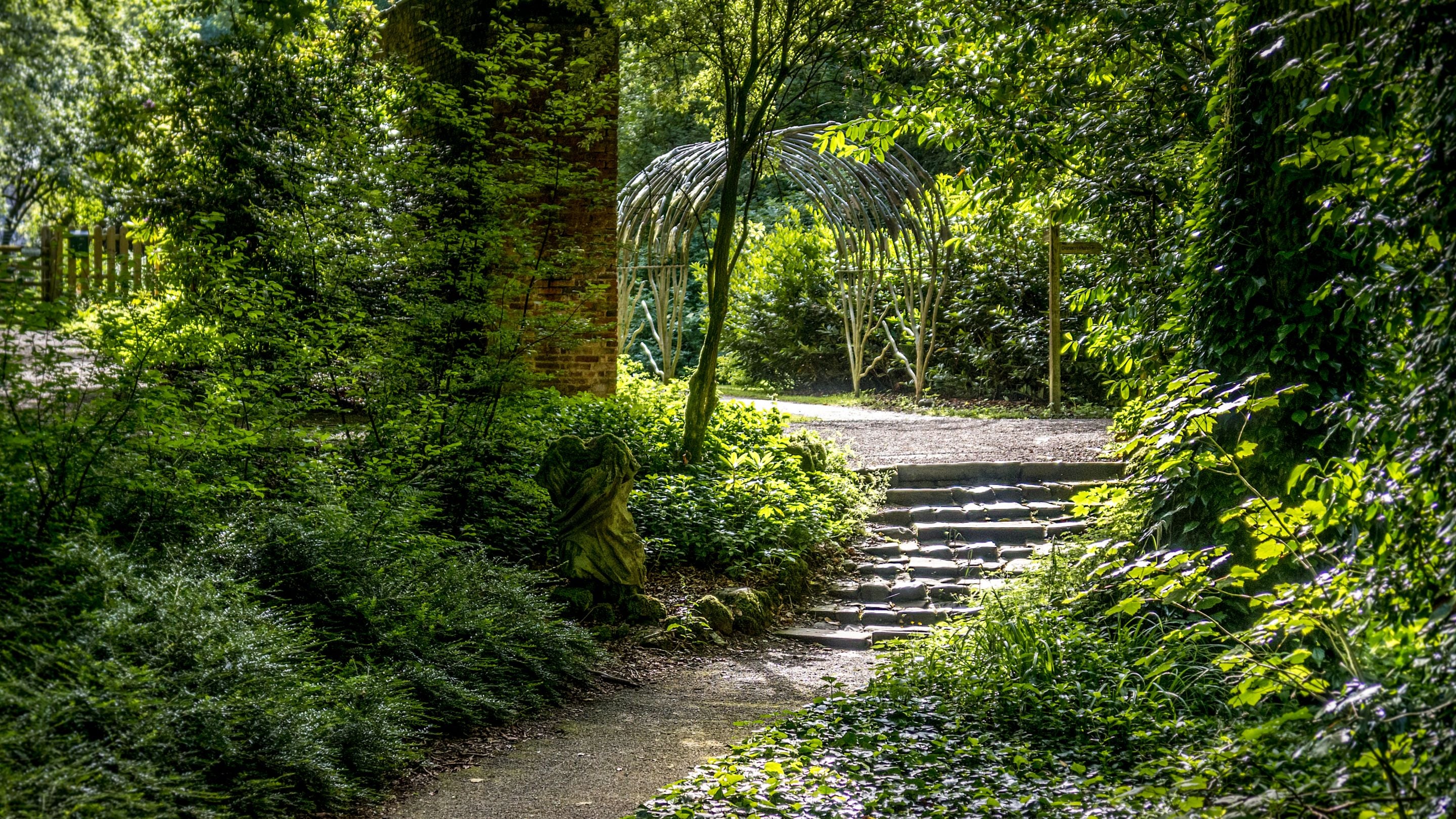 A path through the woods on the Wallington estate, near Laundry Cottage, Northumberland