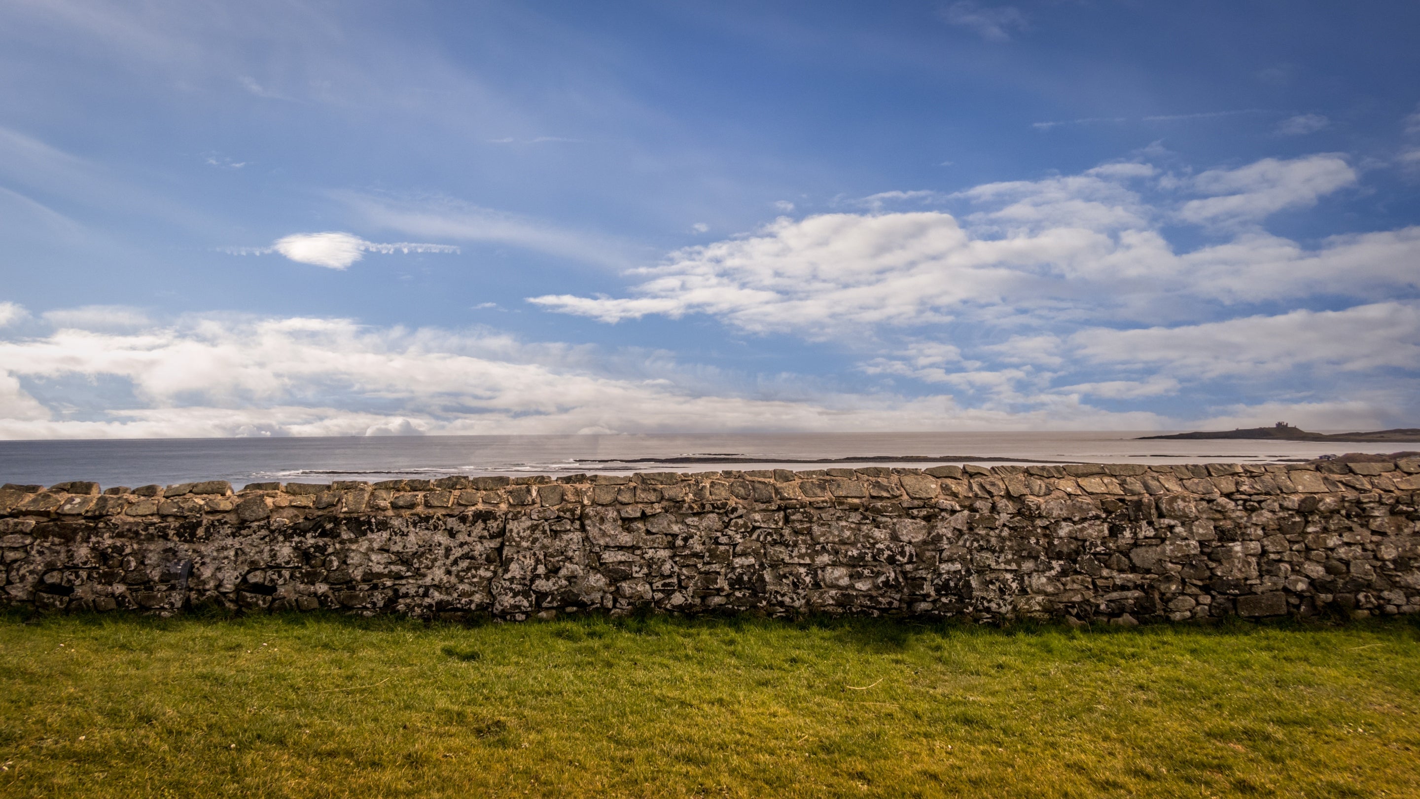 The garden at Lookout Cottage, Northumberland