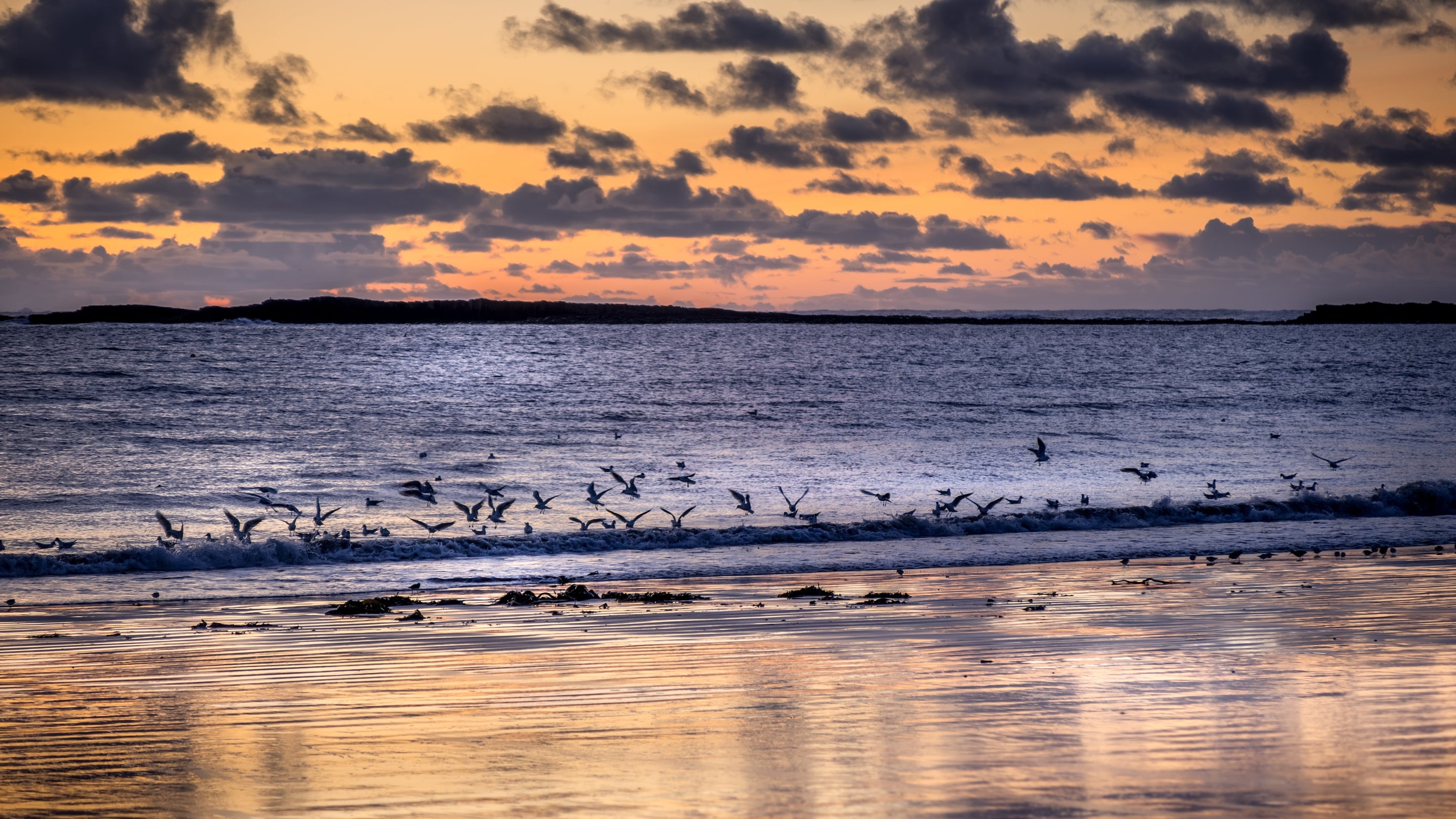 The area surrounding Lookout Cottage, Northumberland