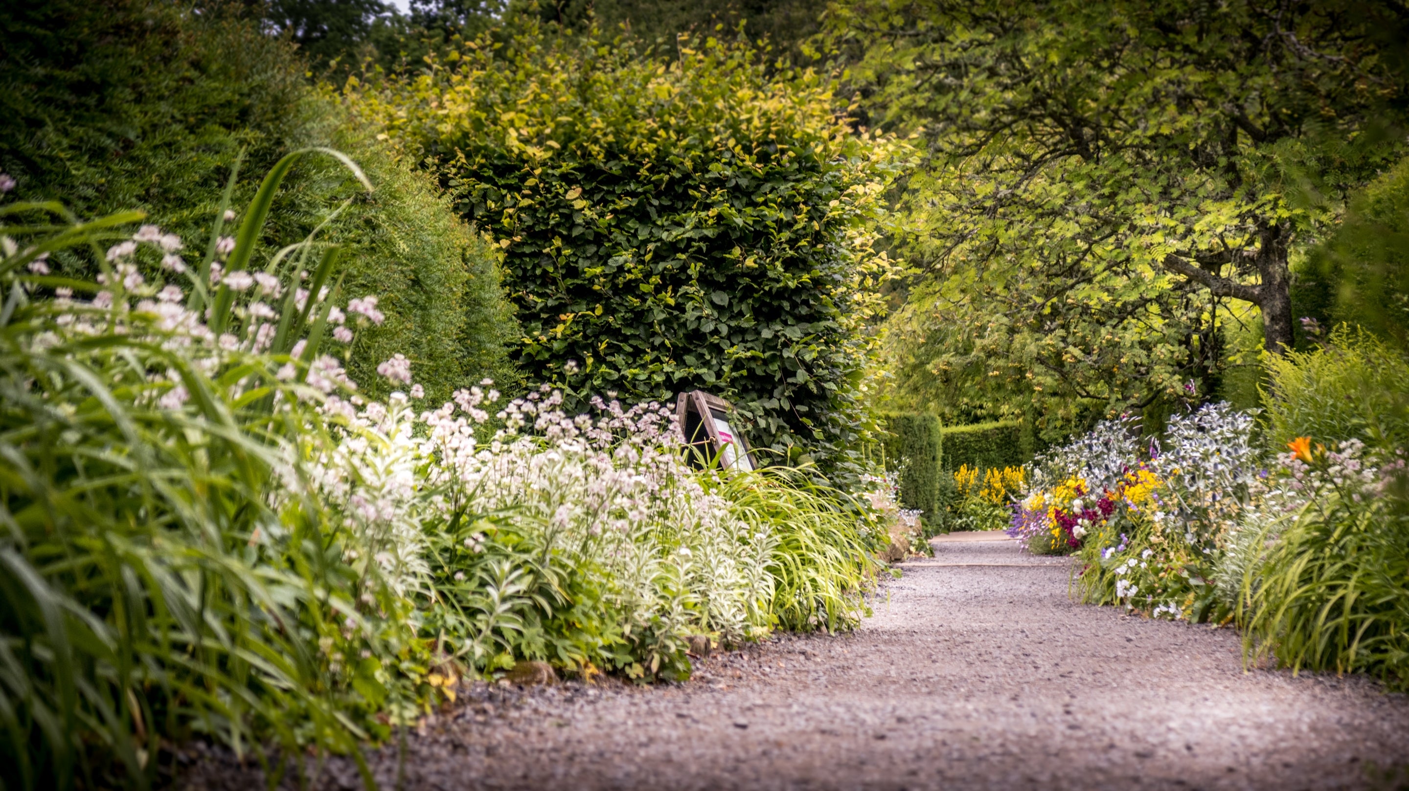 Path on the Wallington Estate, Northumberland