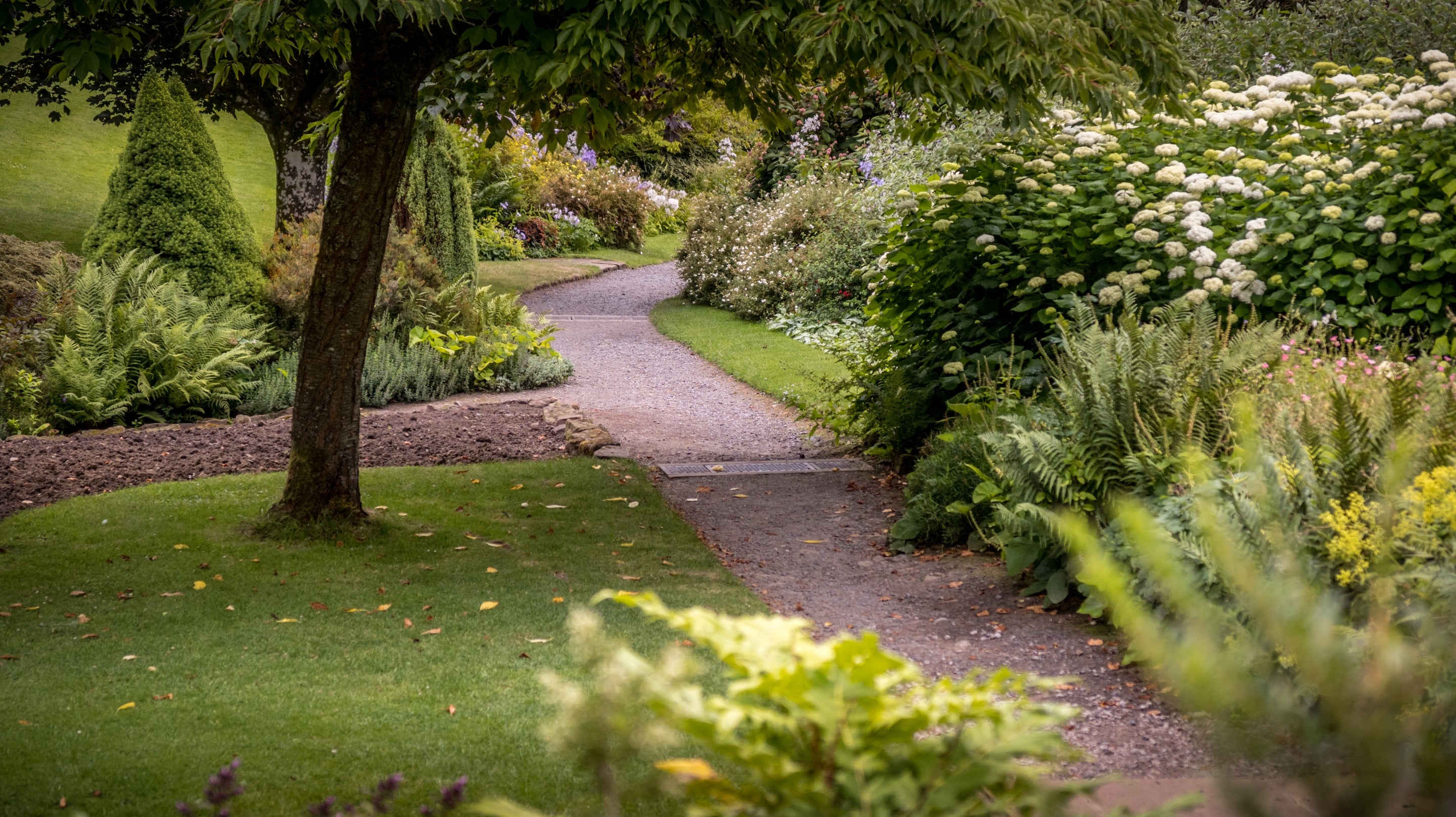 Path on the Wallington Estate, Northumberland