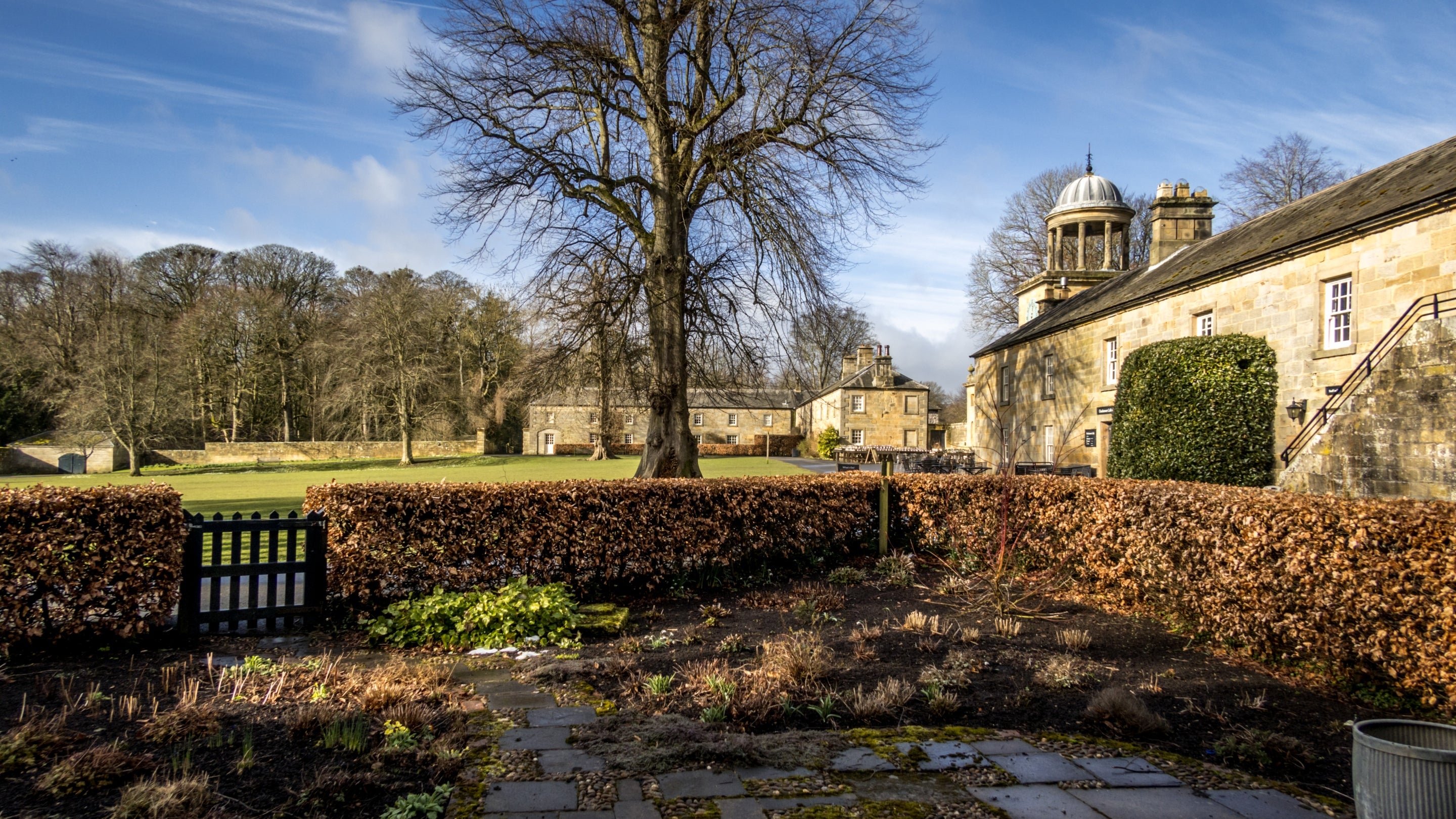 The front garden at Wash House Cottage, Northumberland
