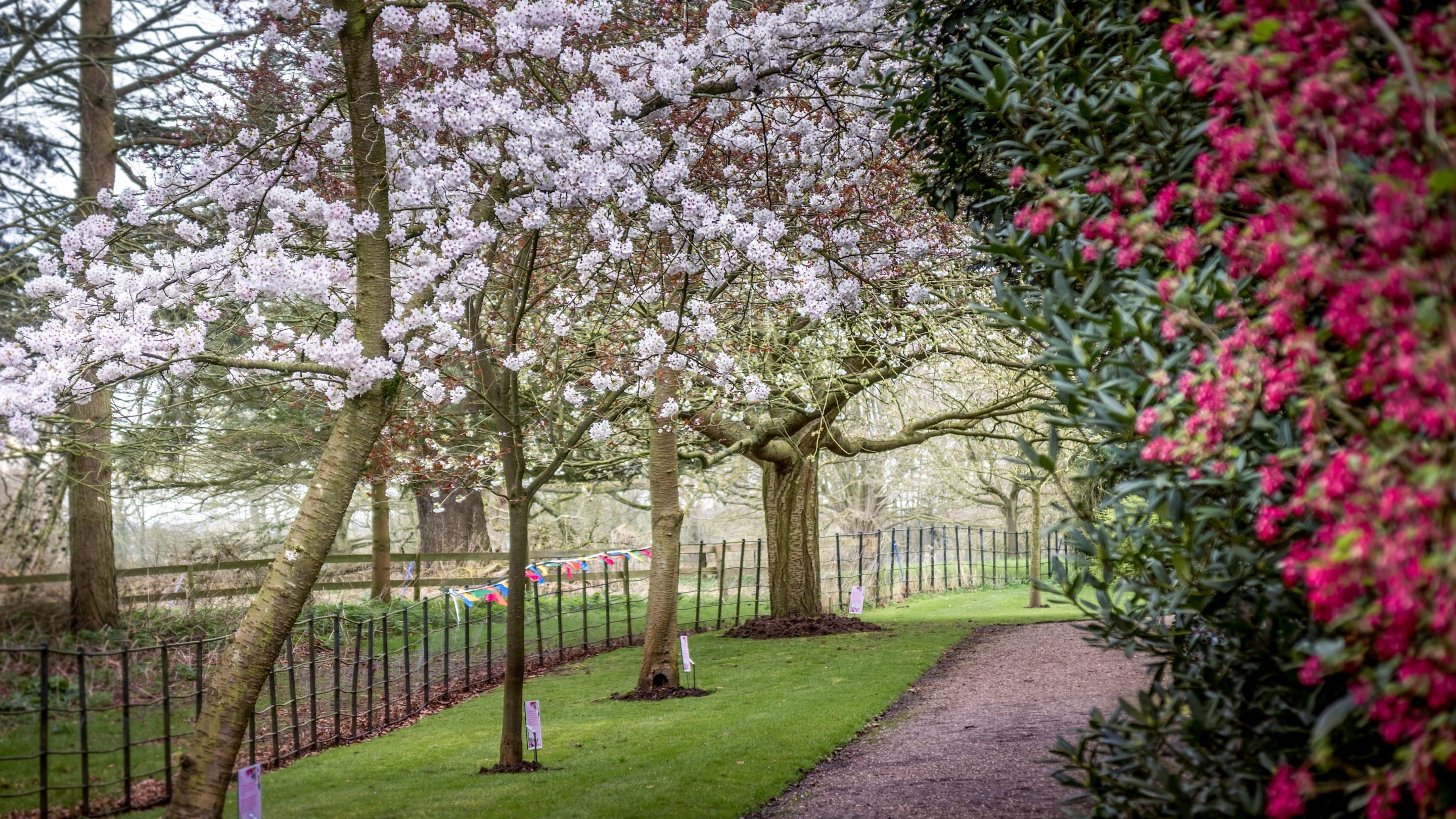 Spring blossoms at the Gunby Estate, near Gunby Old Rectory, Lincolnshire