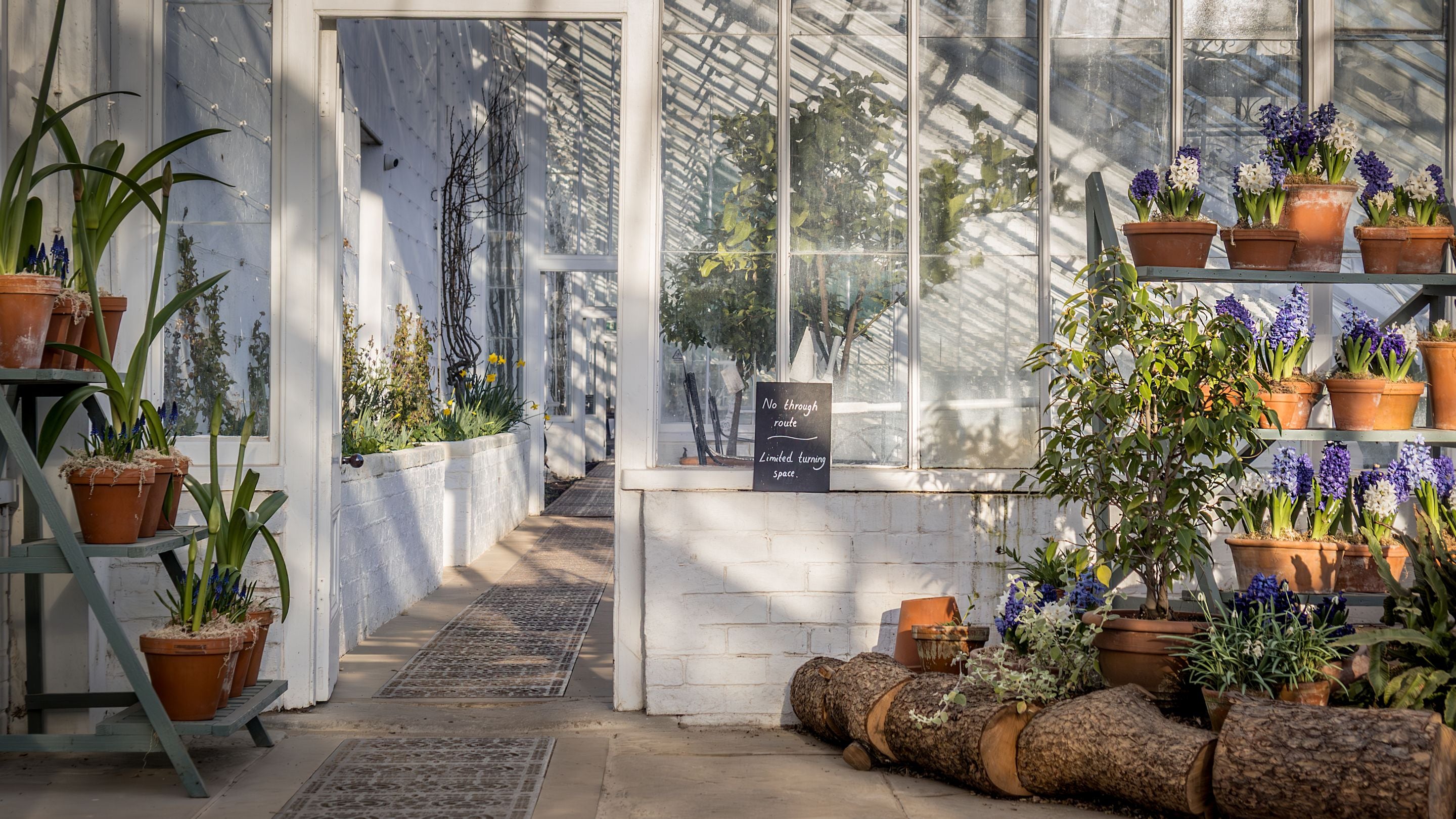 The glasshouse in the walled kitchen garden at Clumber Park, Nottinghamshire