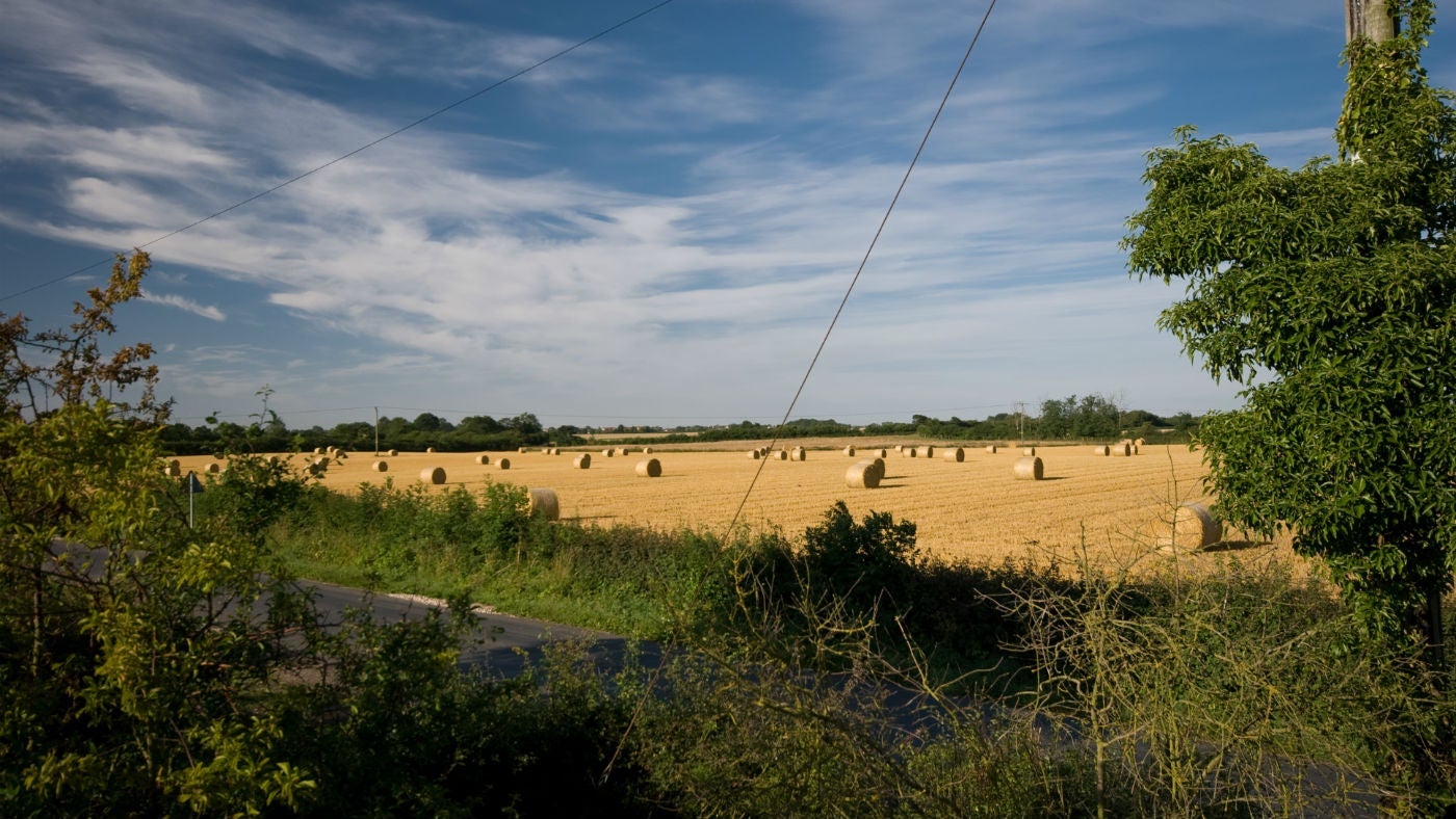 The stunning local area at Whitegates Cottage, nr Skegness, Lincolnshire 
