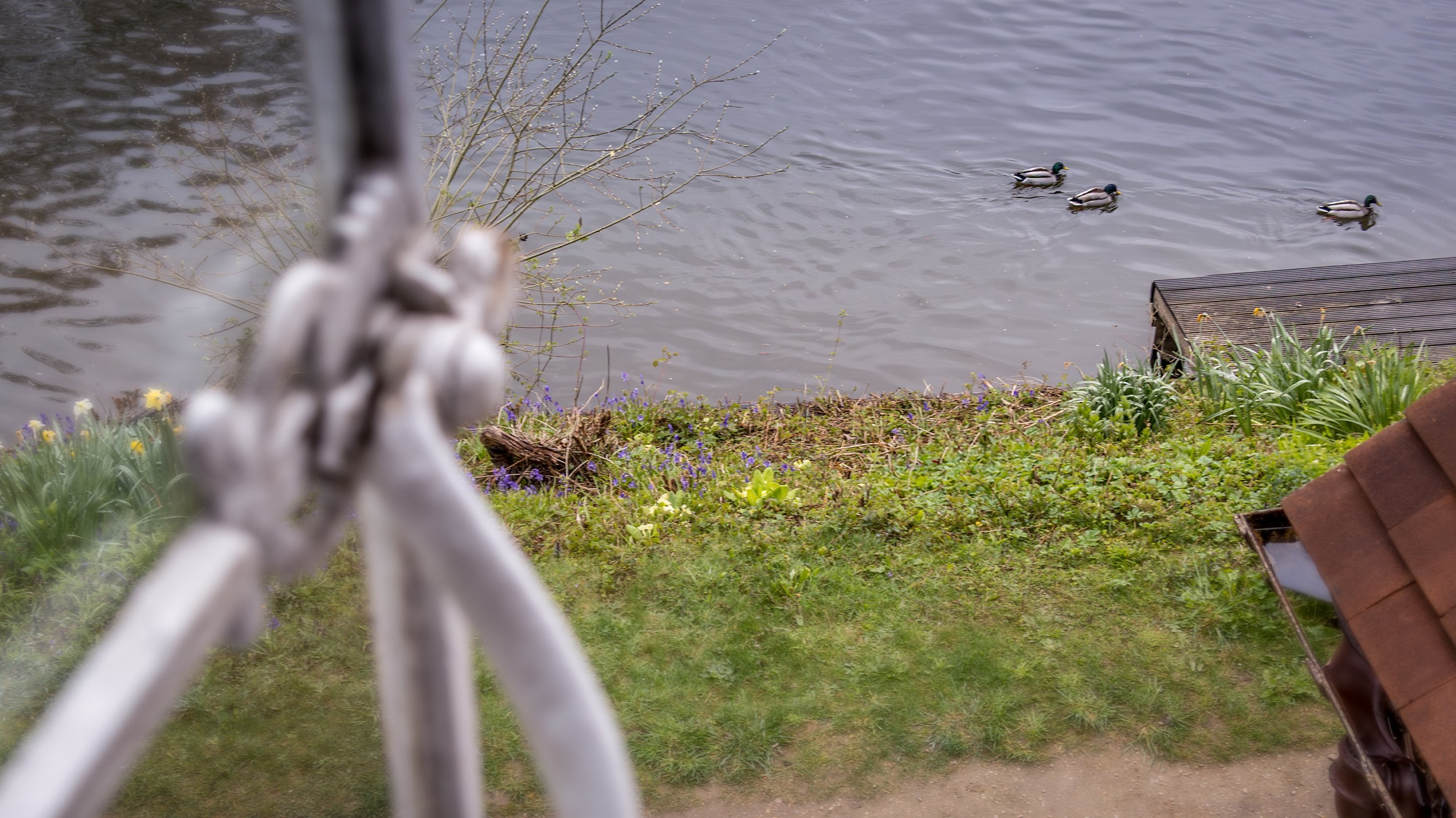 Looking down to the River Thames from one of the bedroom windows at Cliveden New Cottage, Berkshire