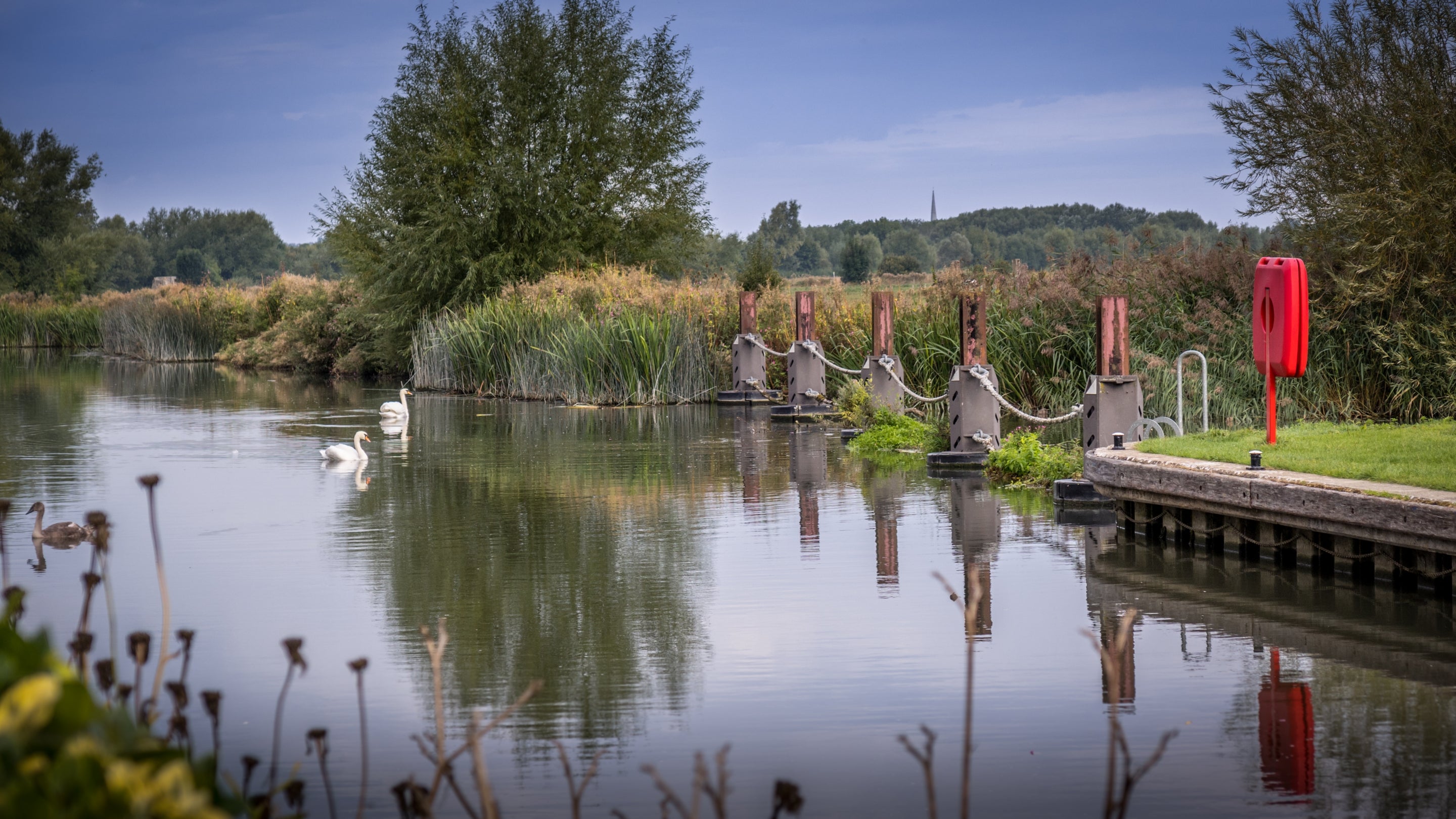 The area surrounding Lock Cottage, Oxfordshire