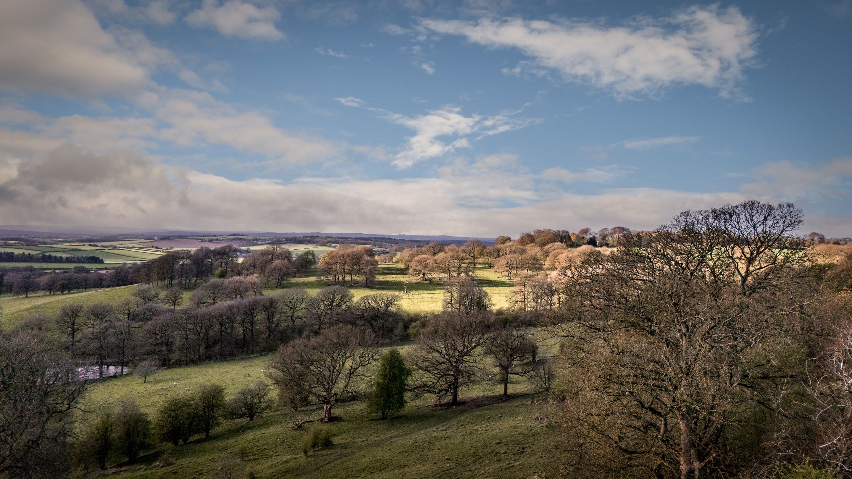 An aerial view of Hardwick's parkland and the surrounding countryside, Derbyshire