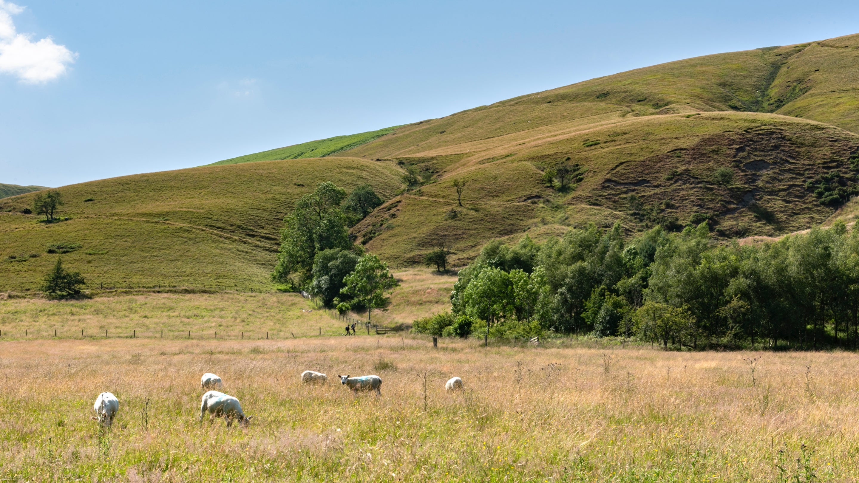 The area surrounding Dalehead Bunkhouse, Derbyshire