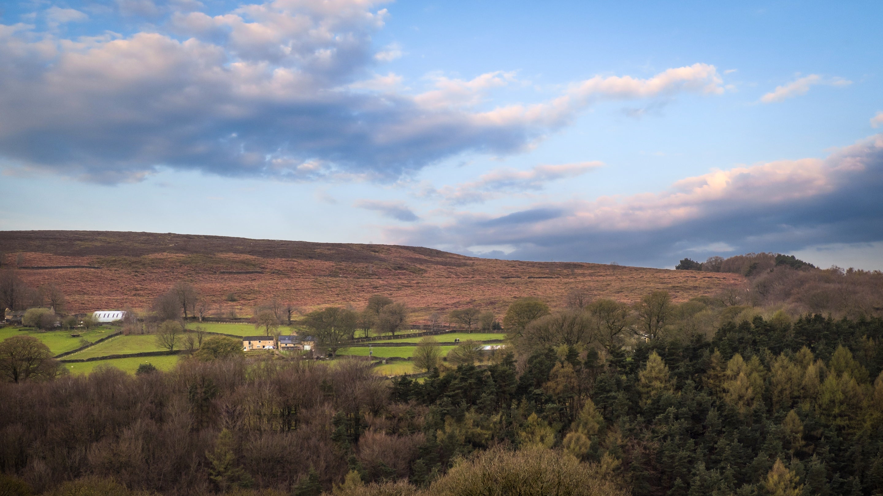 The area surrounding the Greenwood Farm cottages, Derbyshire