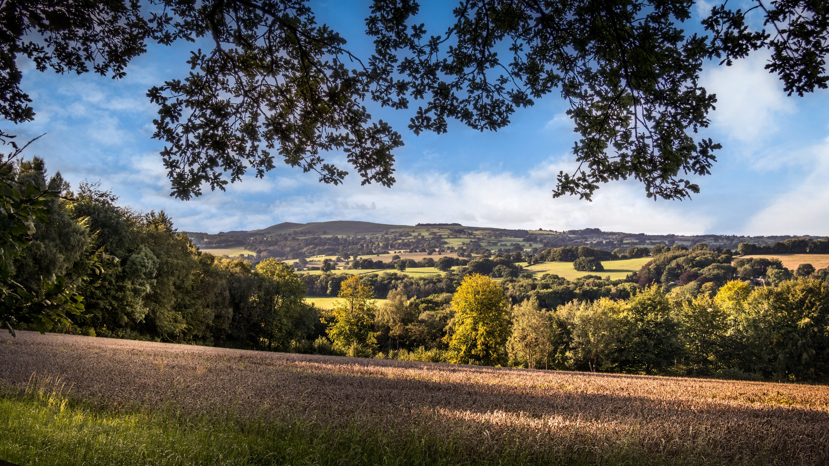 The area surrounding Norbury Manor, Derbyshire