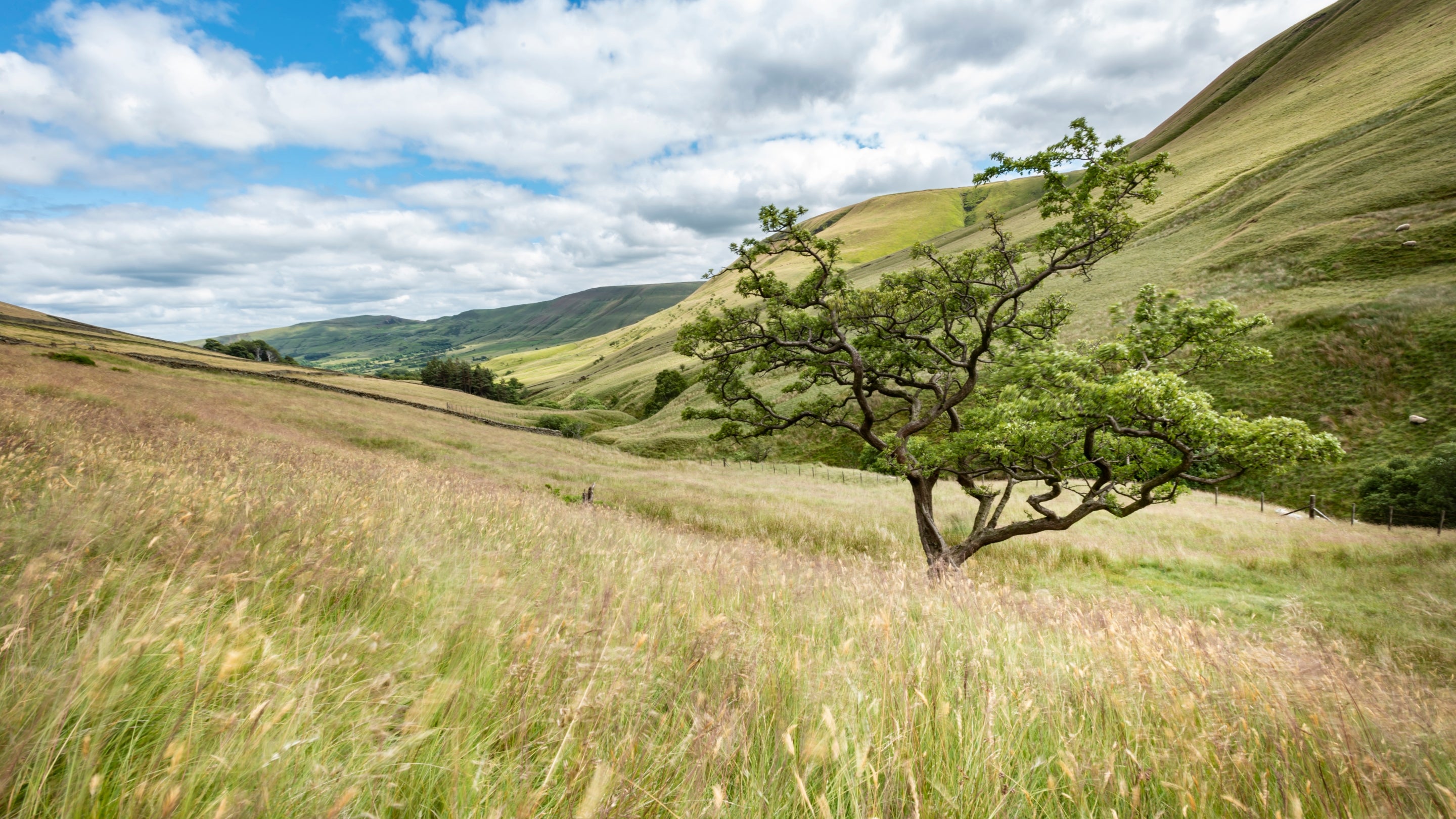 Surrounding area of Upper Booth Farm Campsite, Derbyshire